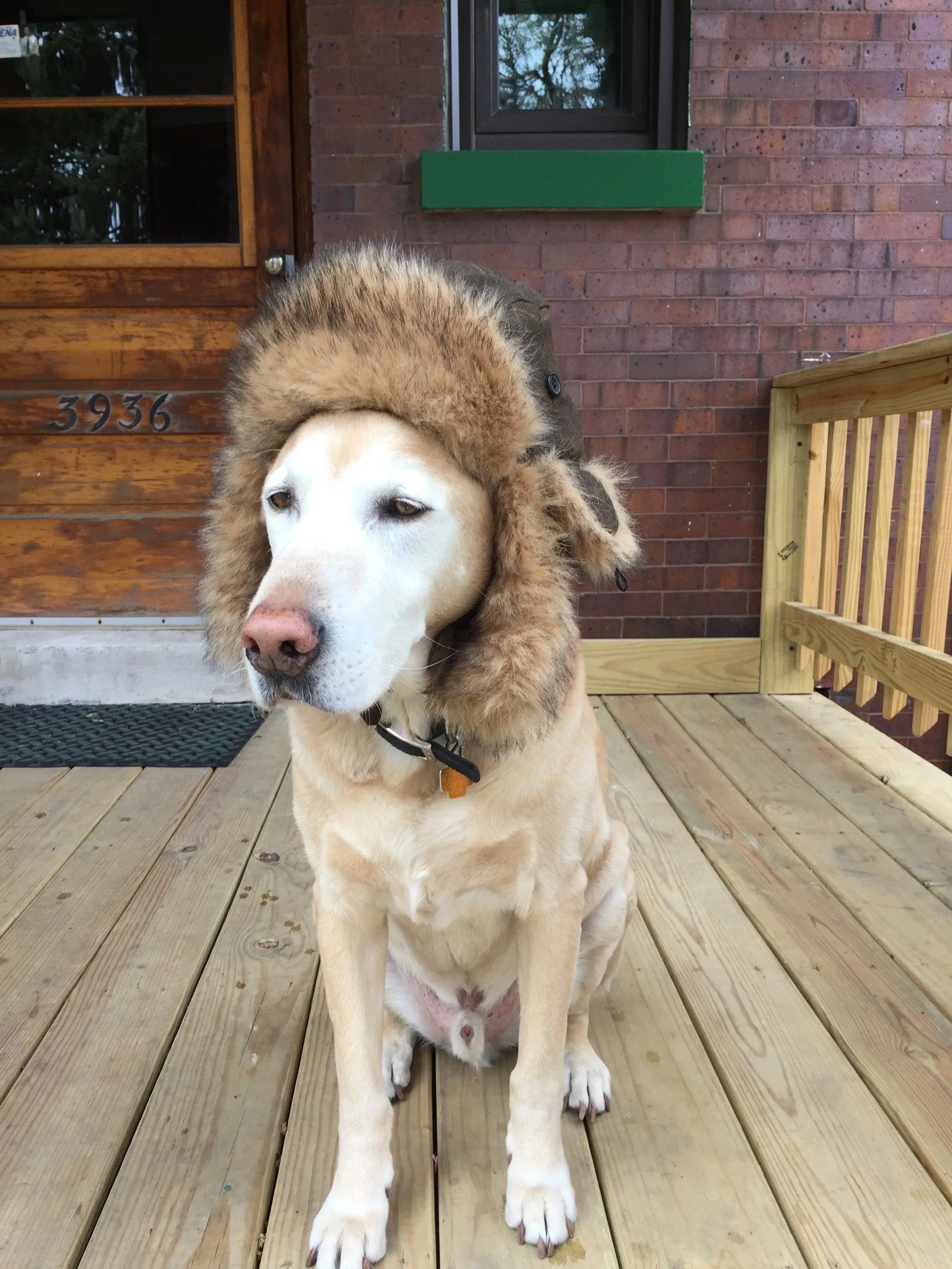 Is Winter Over Yet?