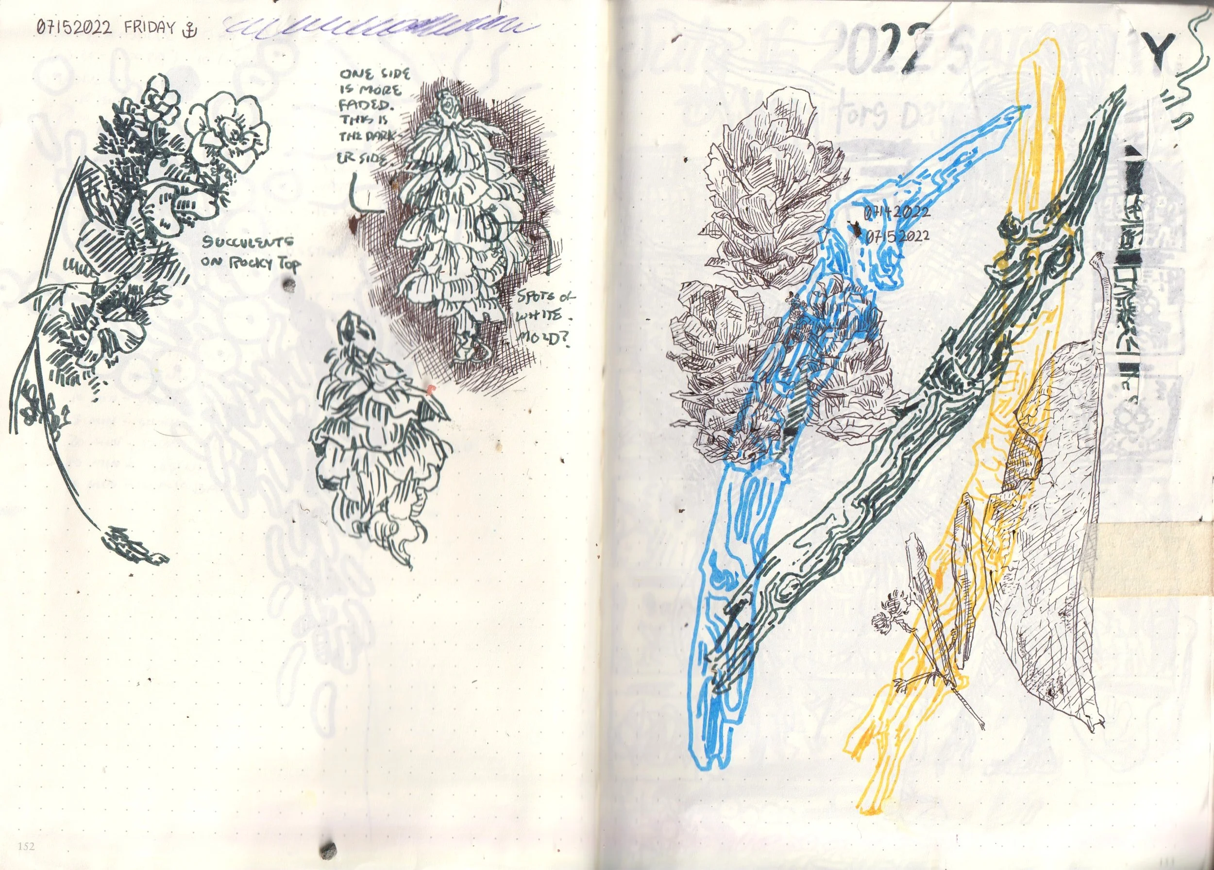 Scan_20250317 (68).jpg