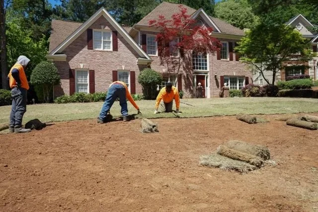 Sod Installation