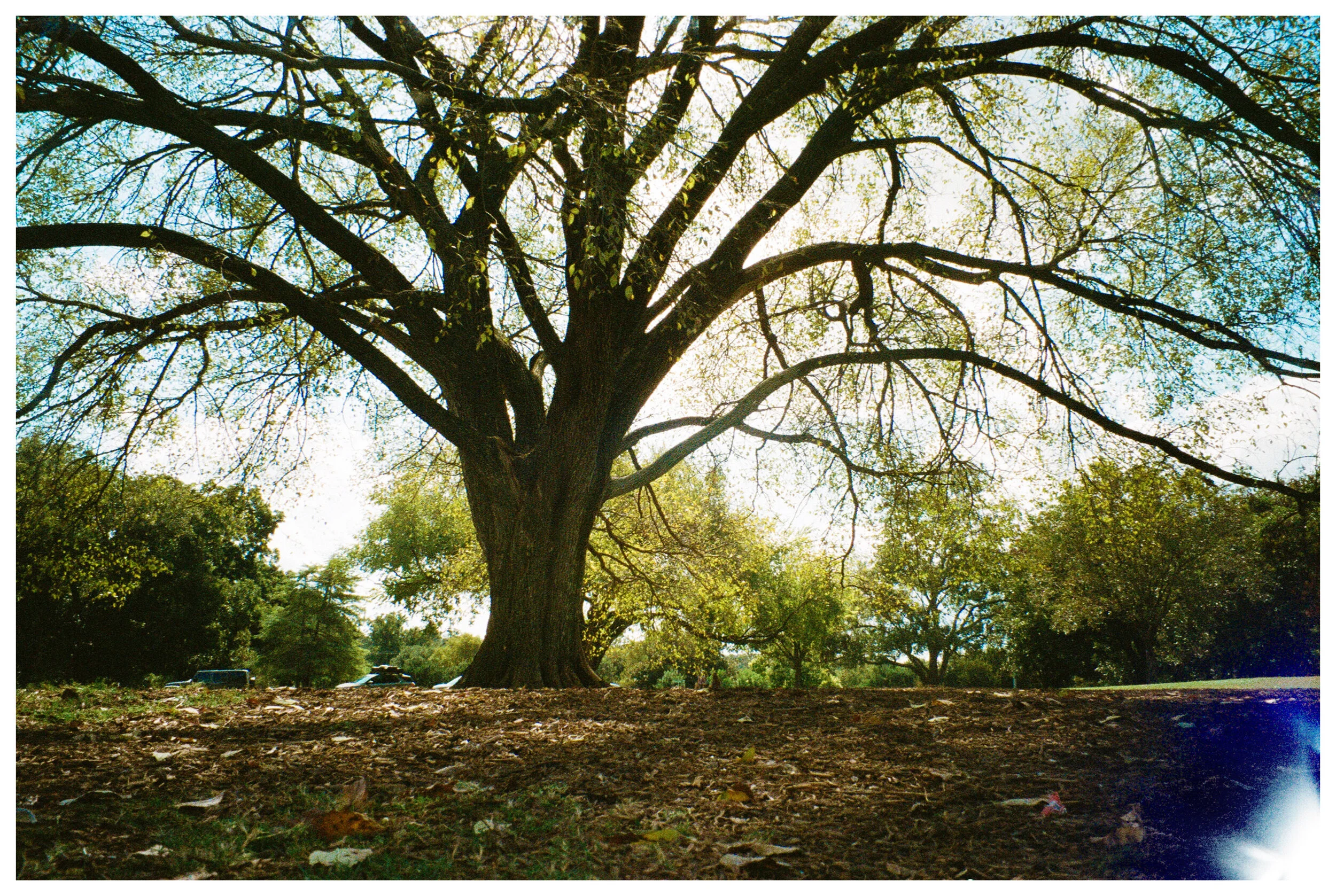 AfterlightImage 65.JPG