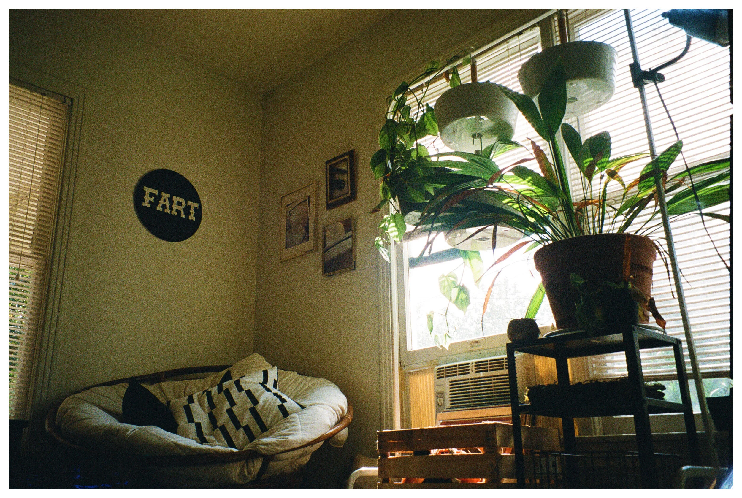 AfterlightImage 66.JPG