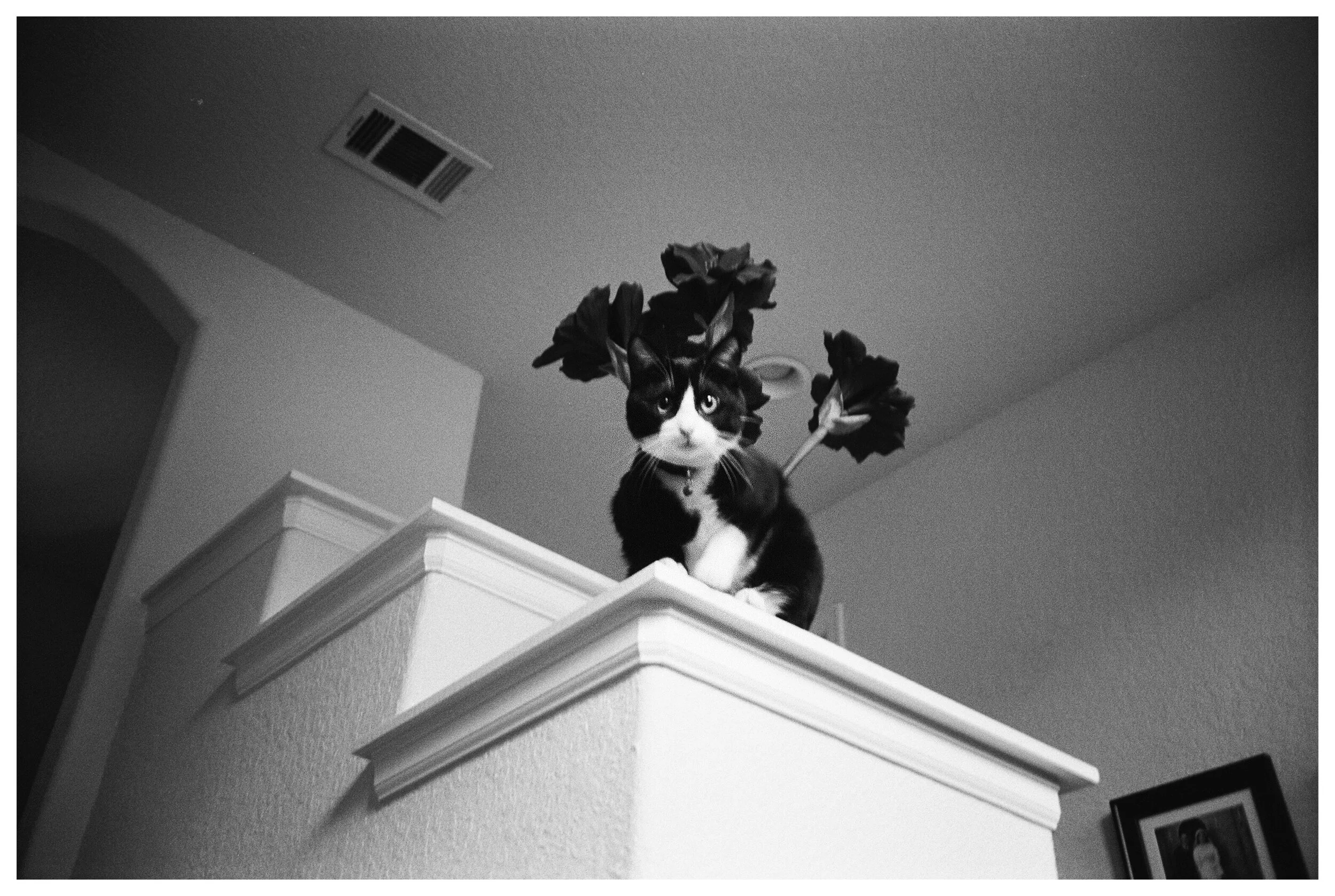 AfterlightImage 76.JPG