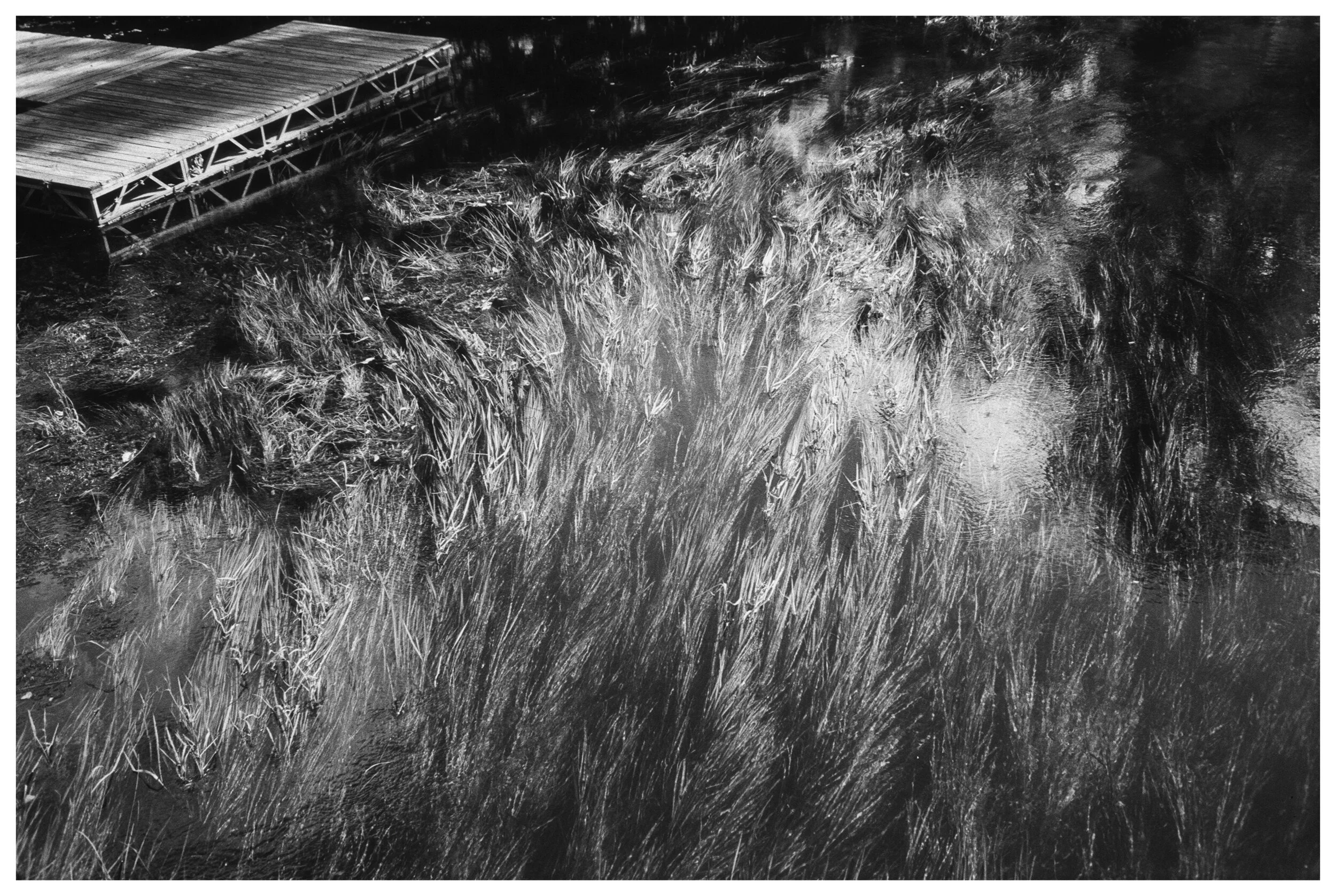 AfterlightImage 83.JPG