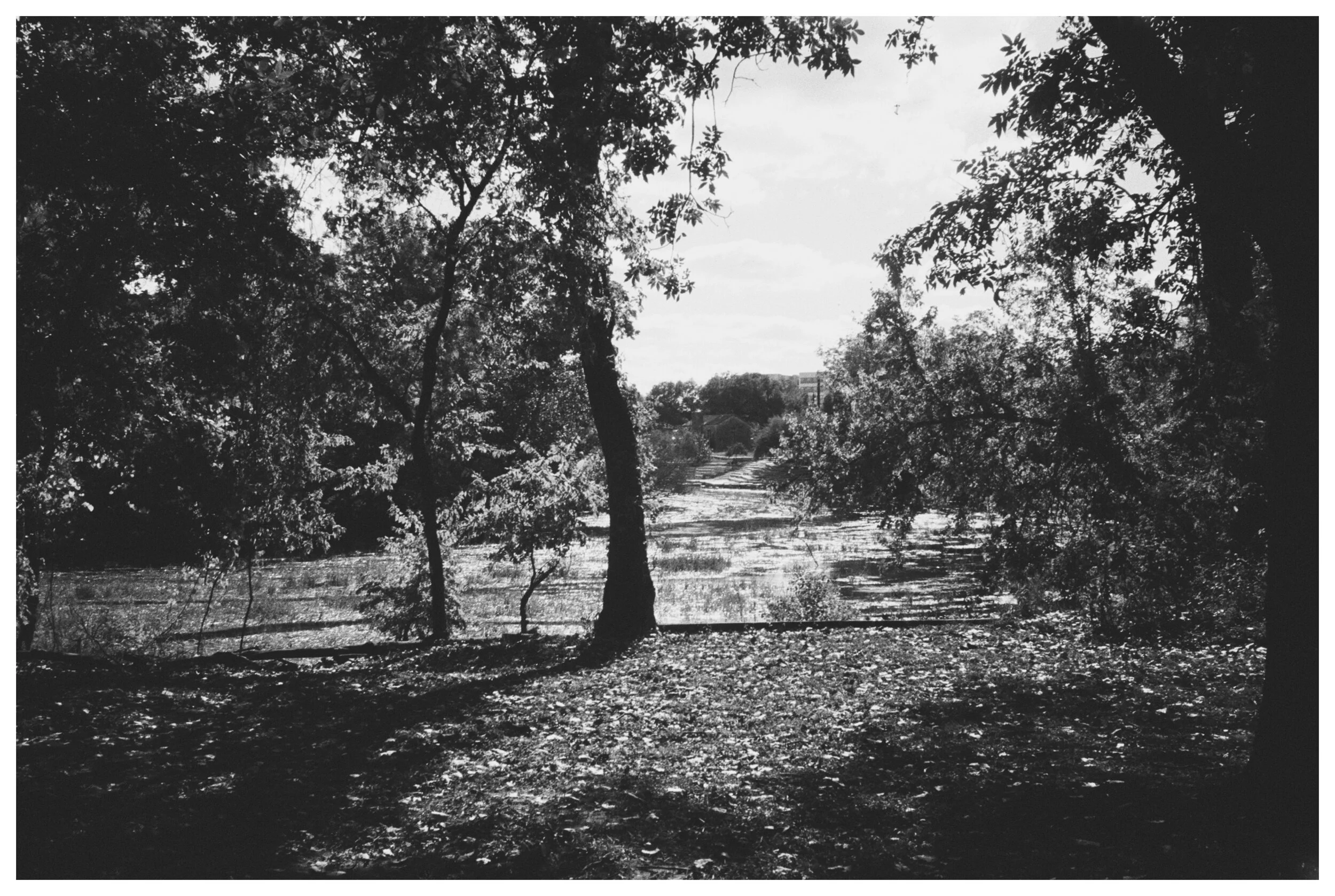 AfterlightImage 84.JPG