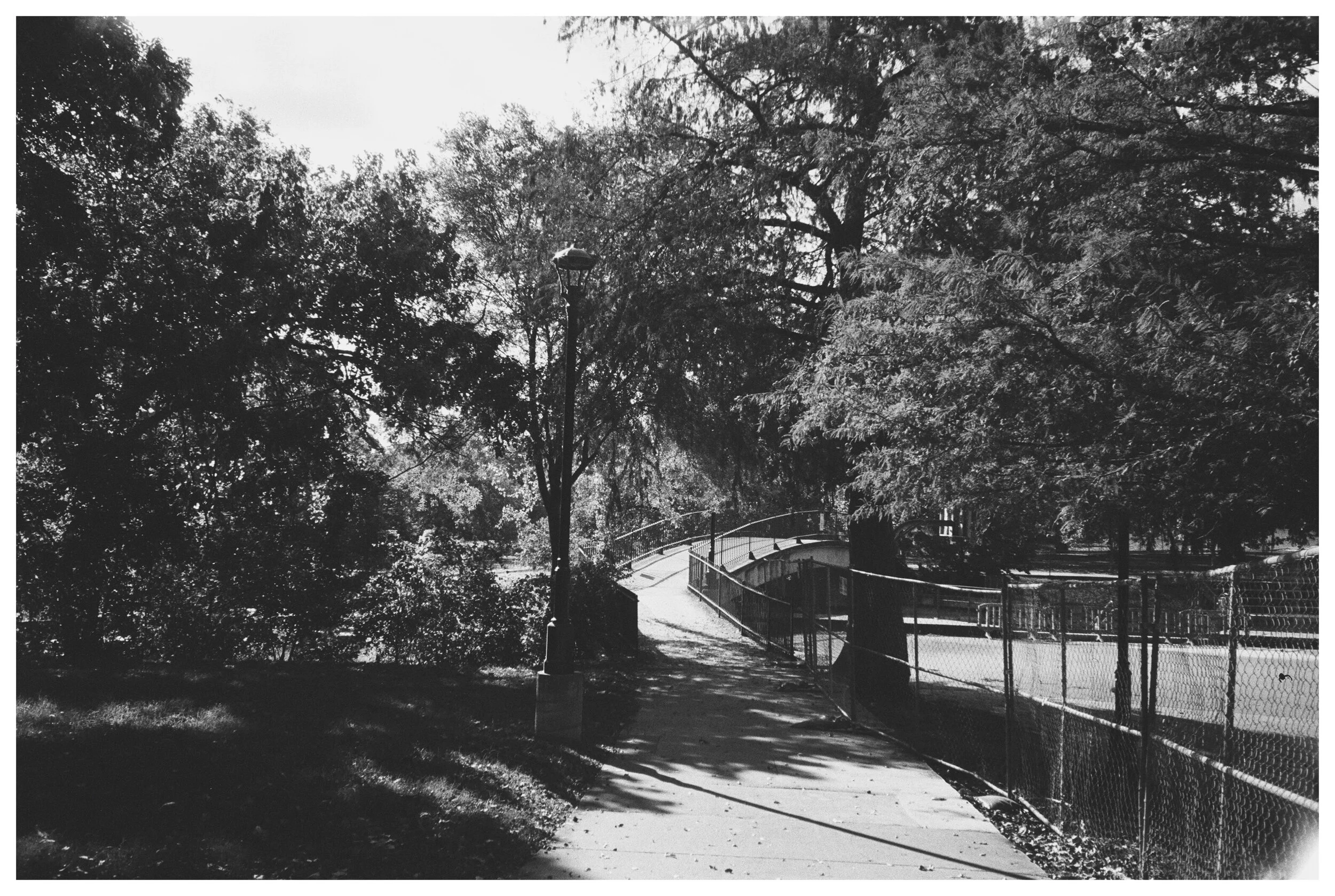 AfterlightImage 86.JPG