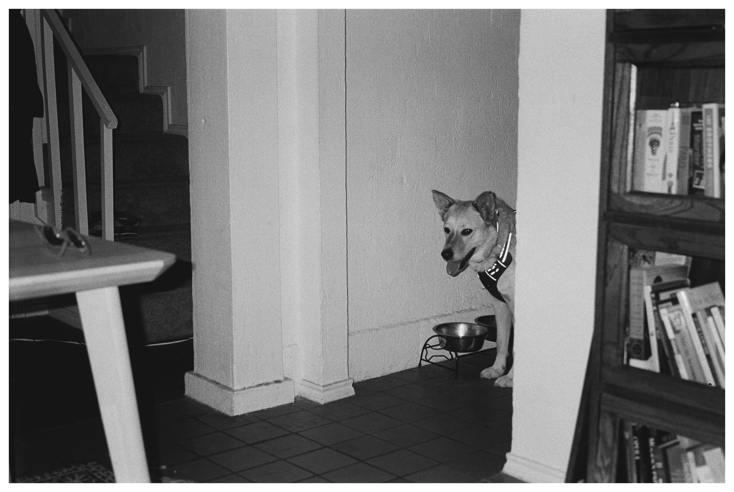 AfterlightImage 114.JPG