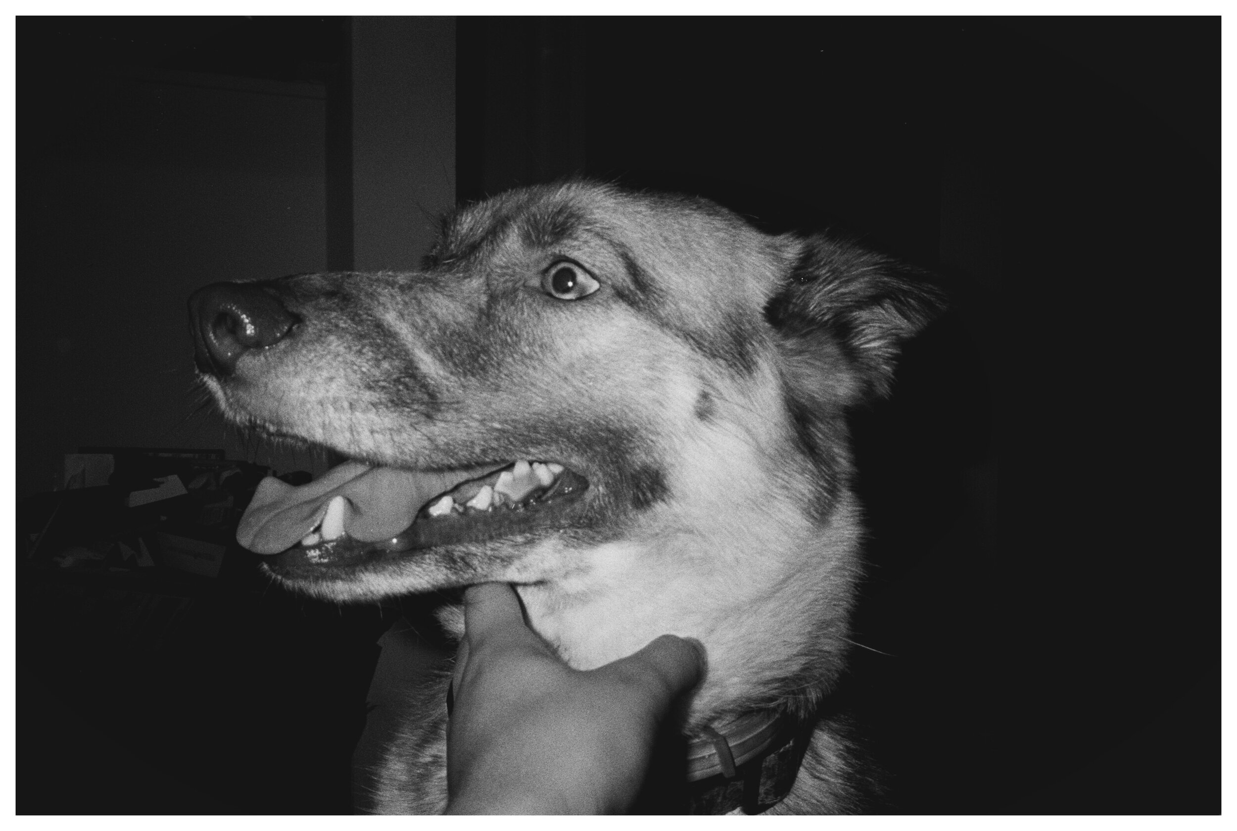 AfterlightImage 132.JPG