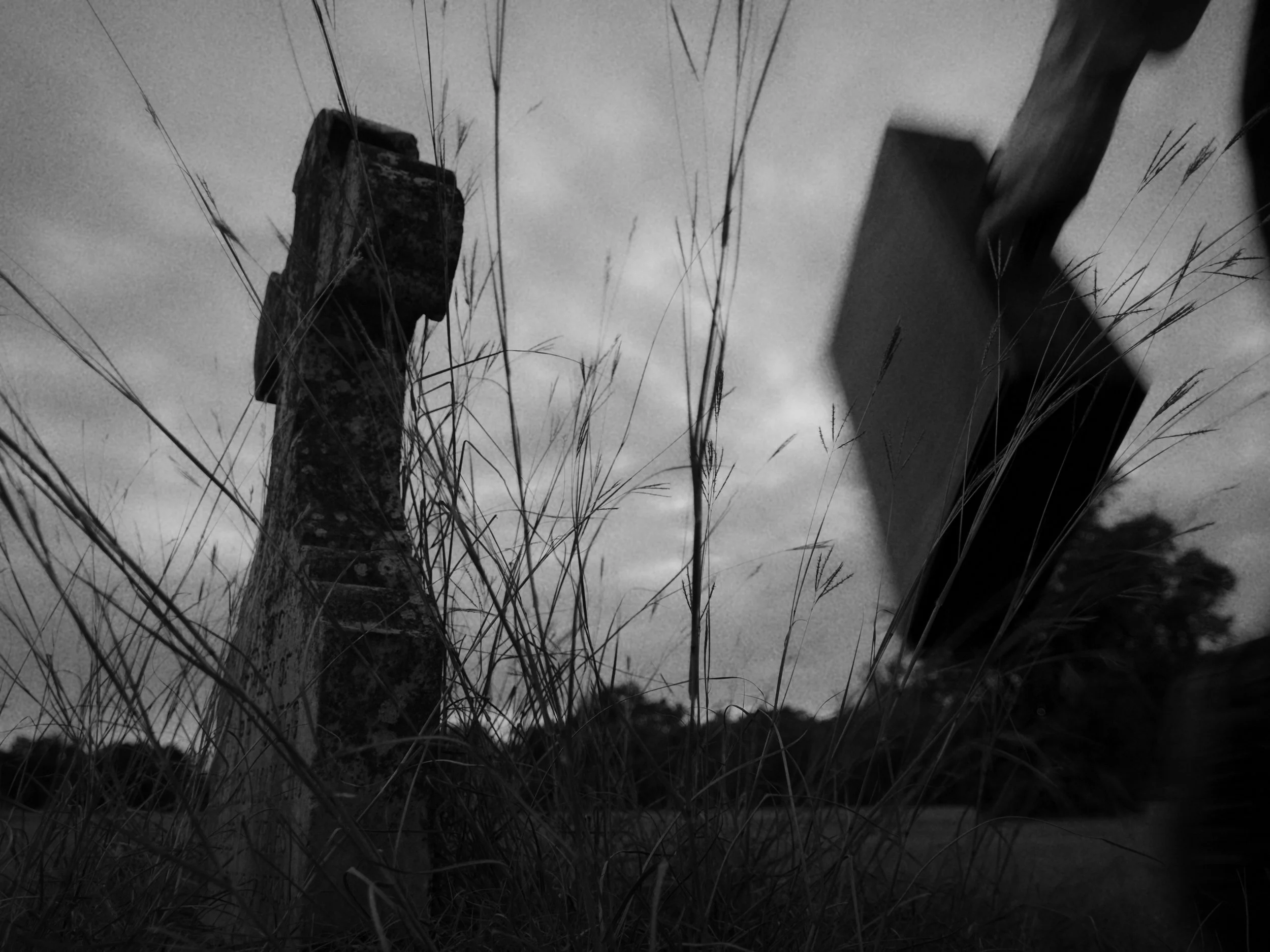 Untitled_1.11.1.JPG