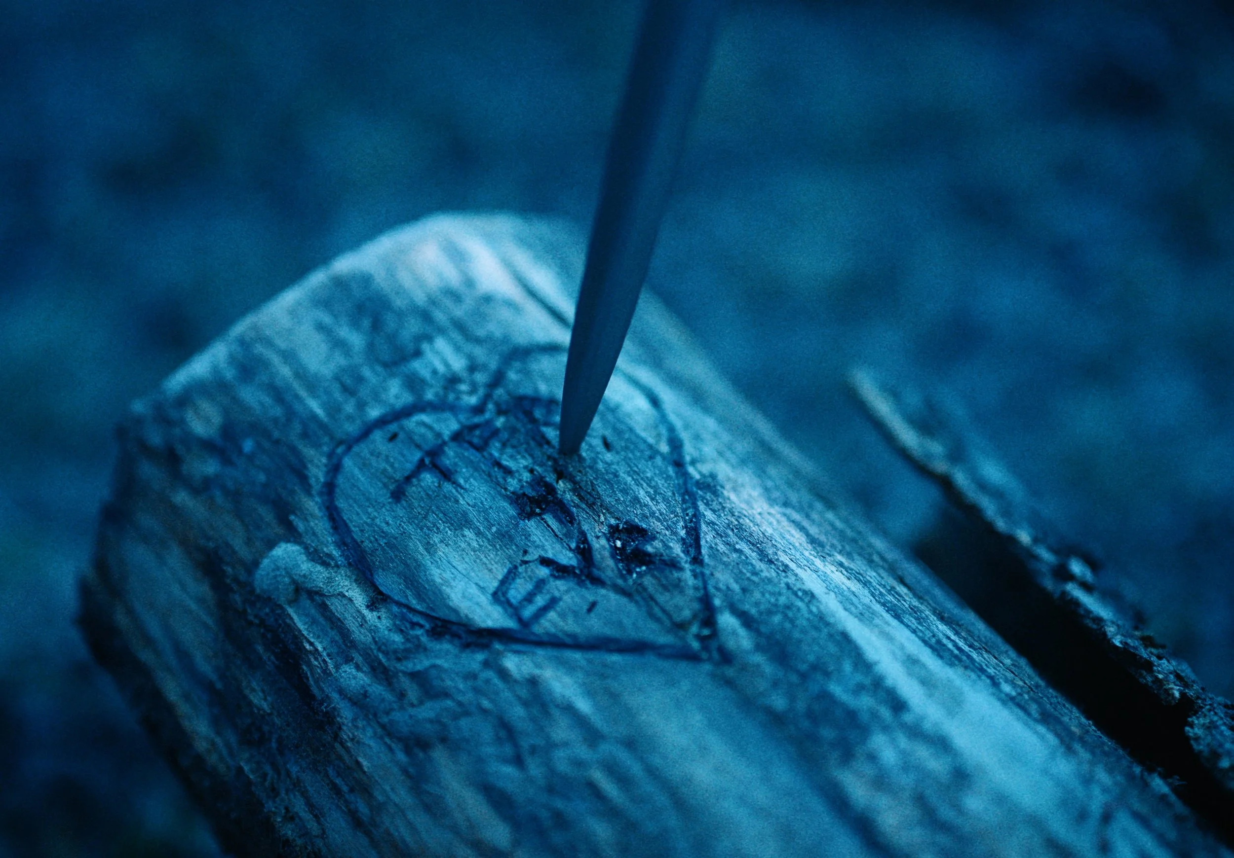 TPR STILL 42.jpeg