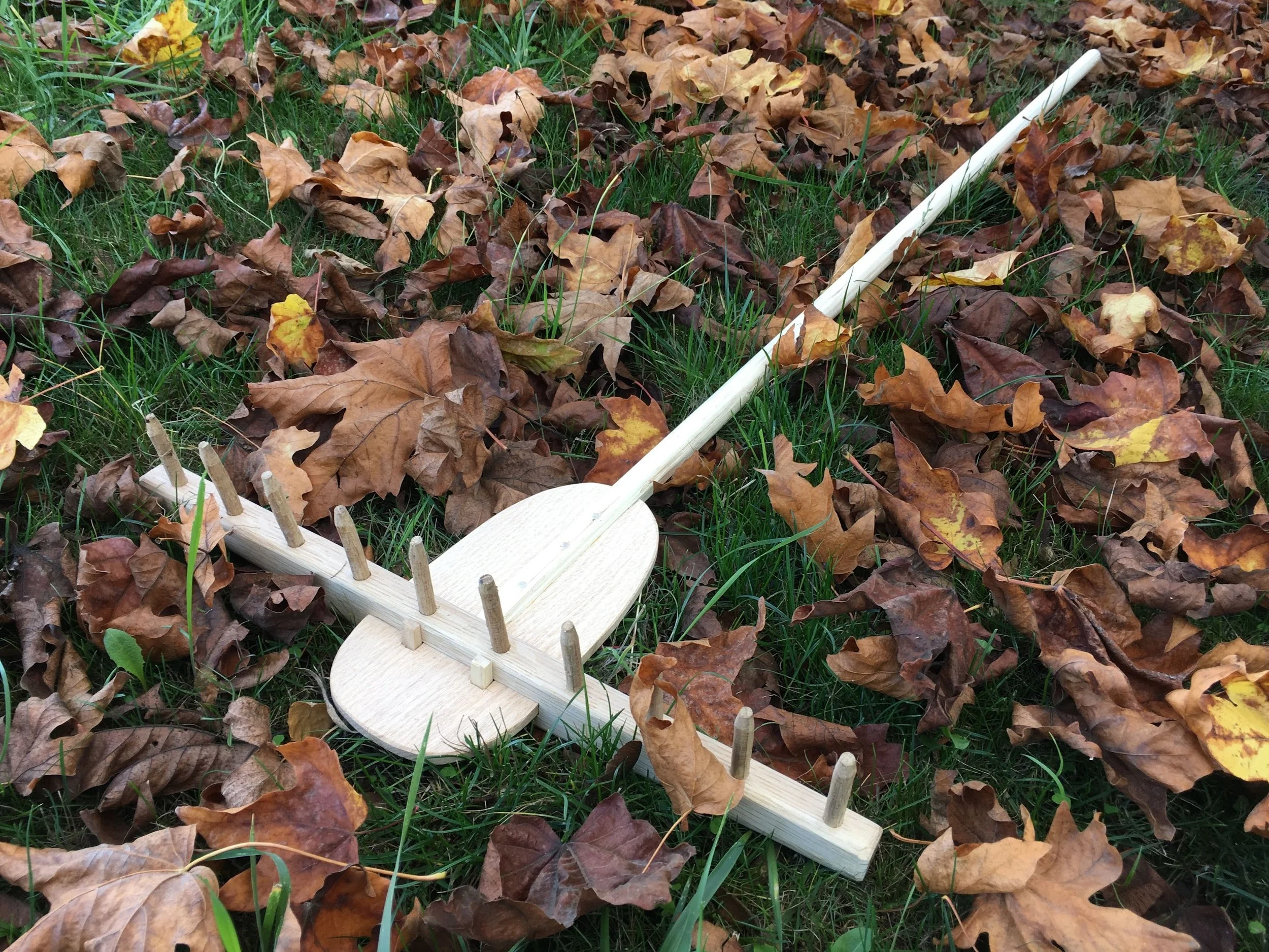  Rake. Mixed hardwoods, 2020 