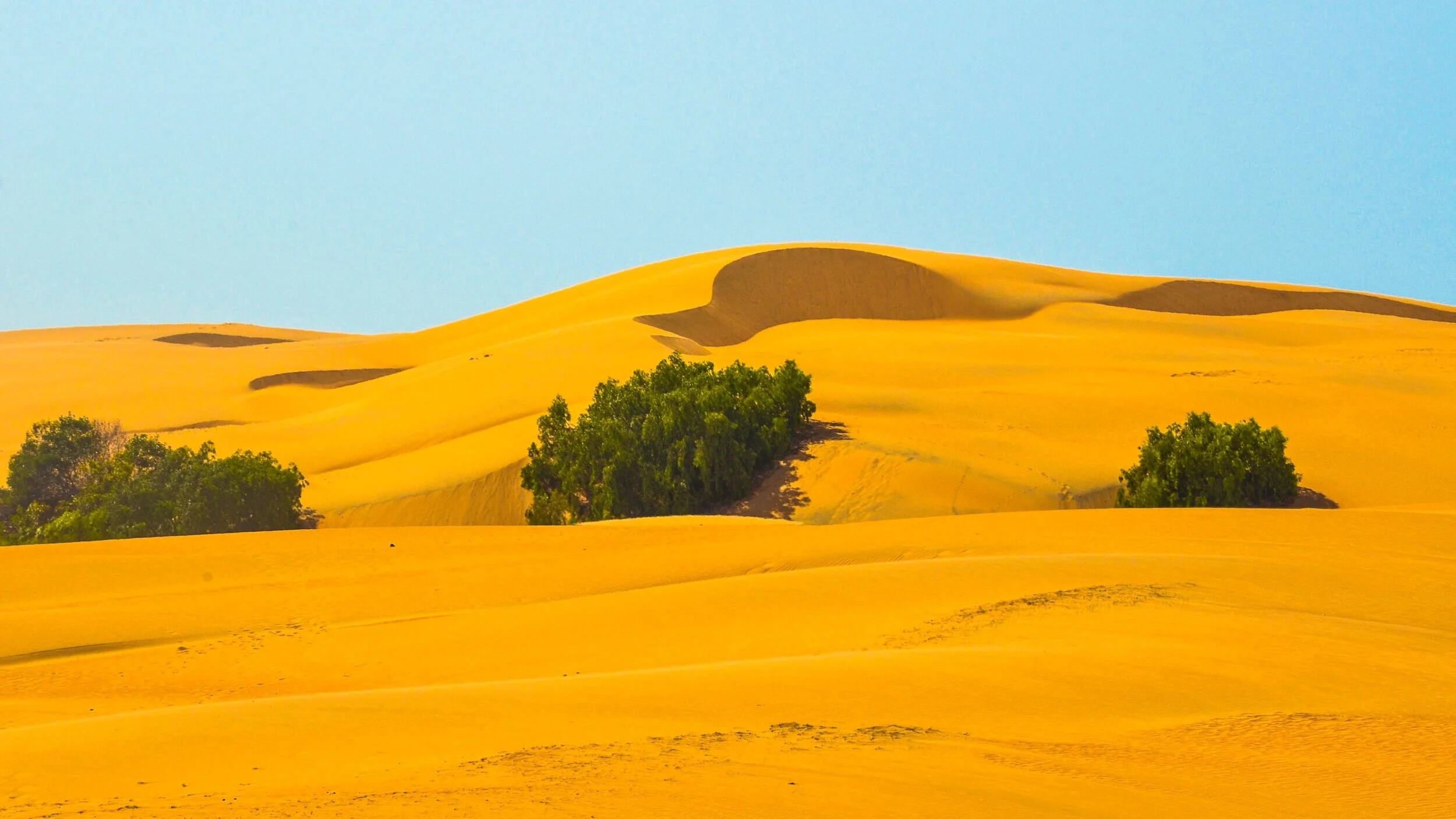 Dune, Senegal (2017)
