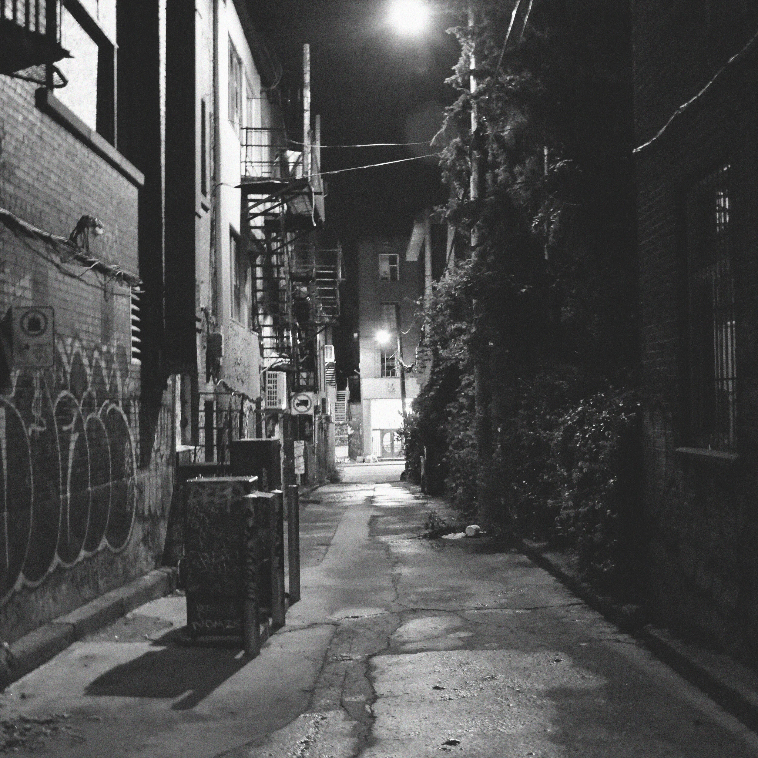 Alley, Montreal (2015)