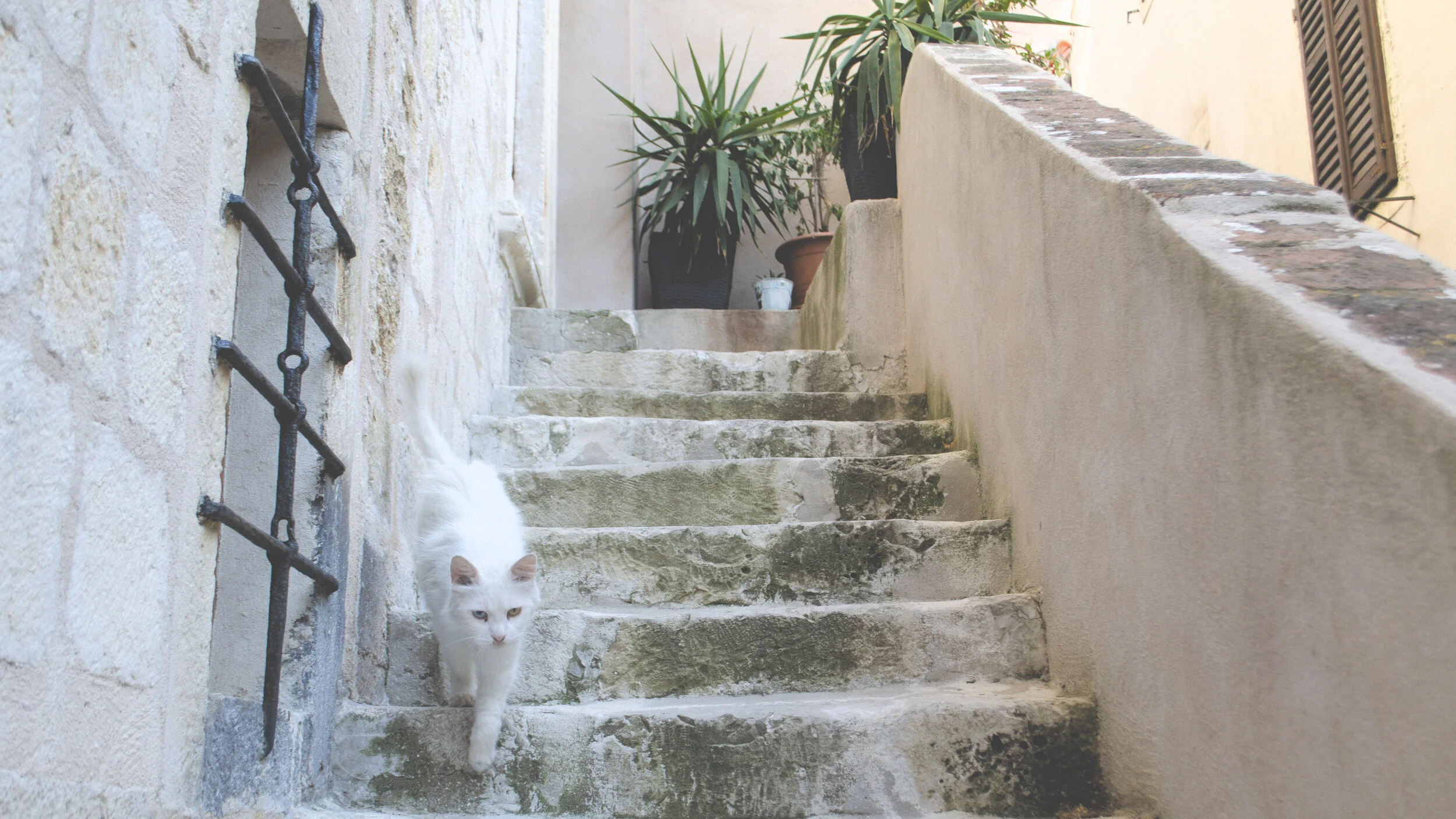 Steps, Croatia (2014)