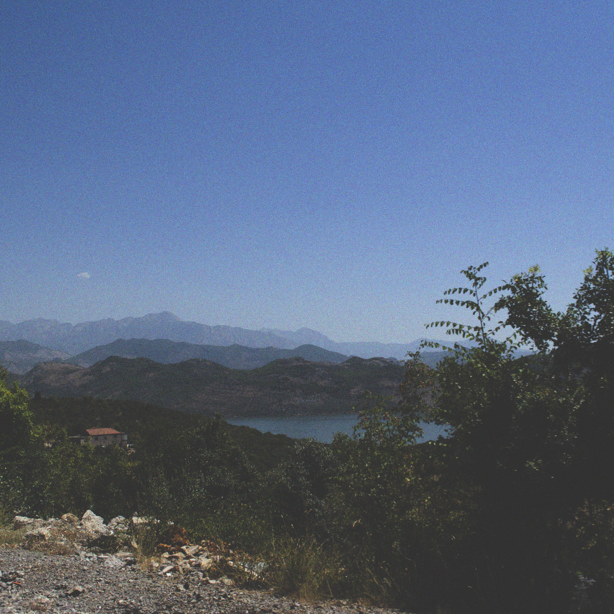 Echo, Albania (2014)