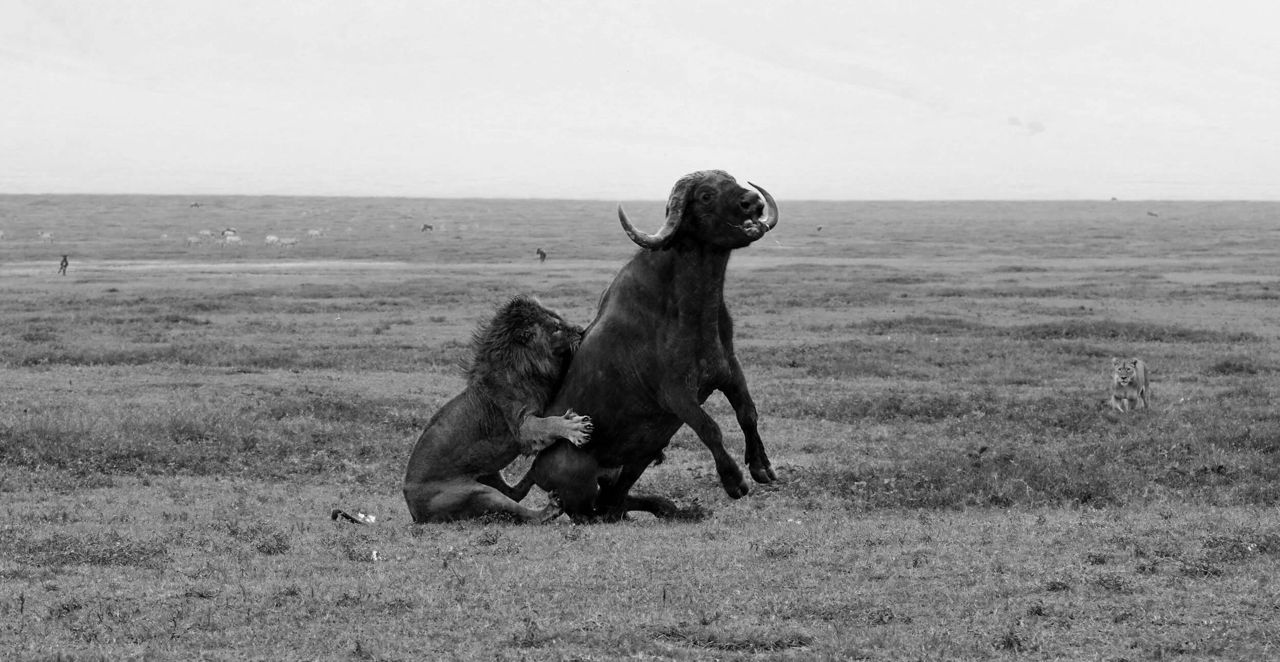 013_0147.jpg