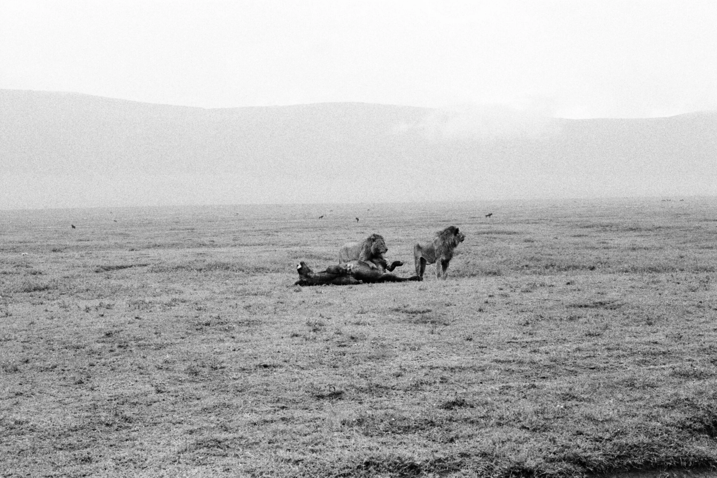 003_000039390014.jpg