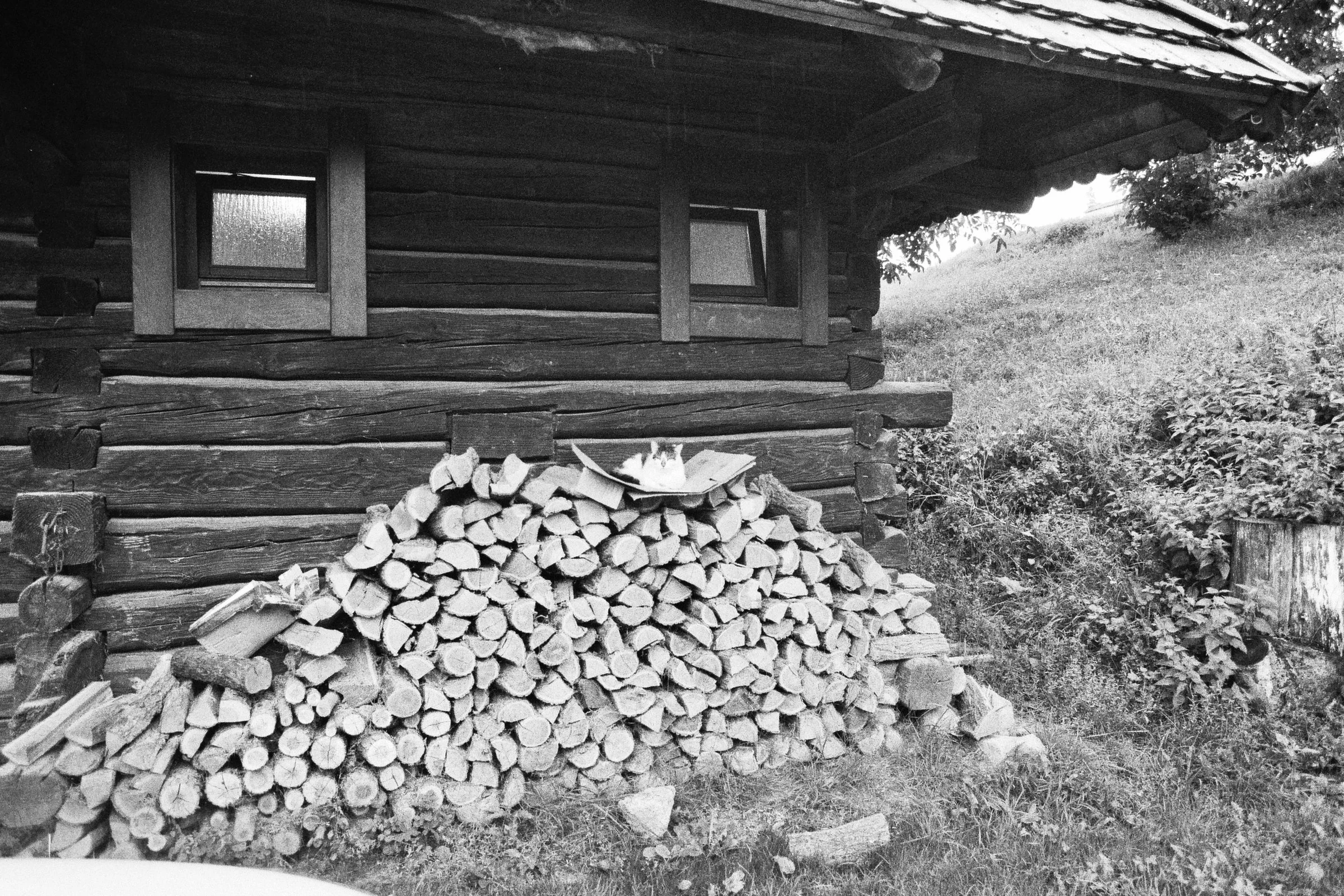 _20_00259.jpg