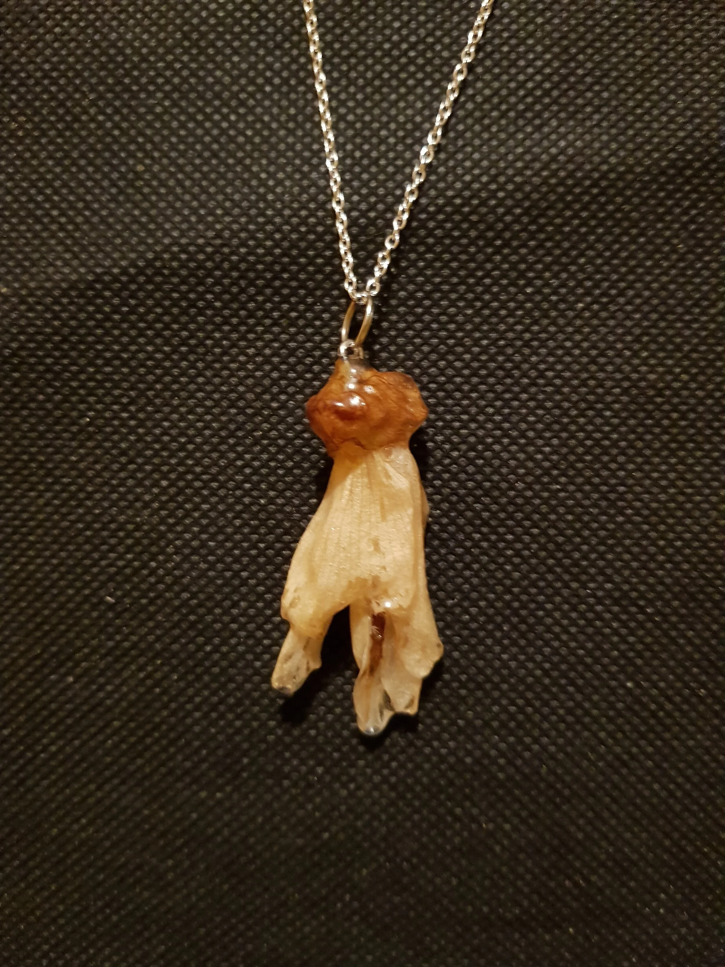 20201124_212325 (1).jpg