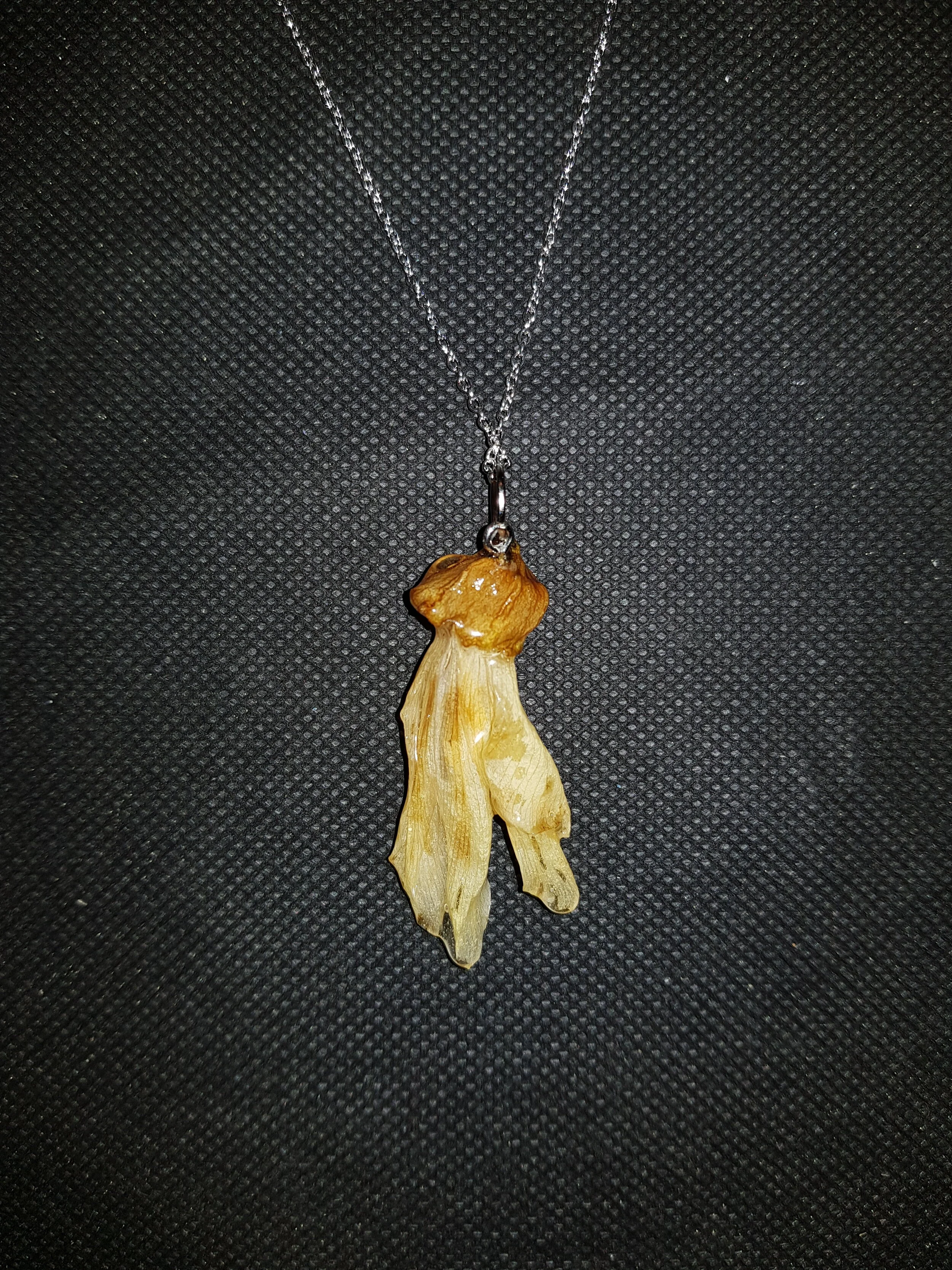 20201124_212247 (1).jpg