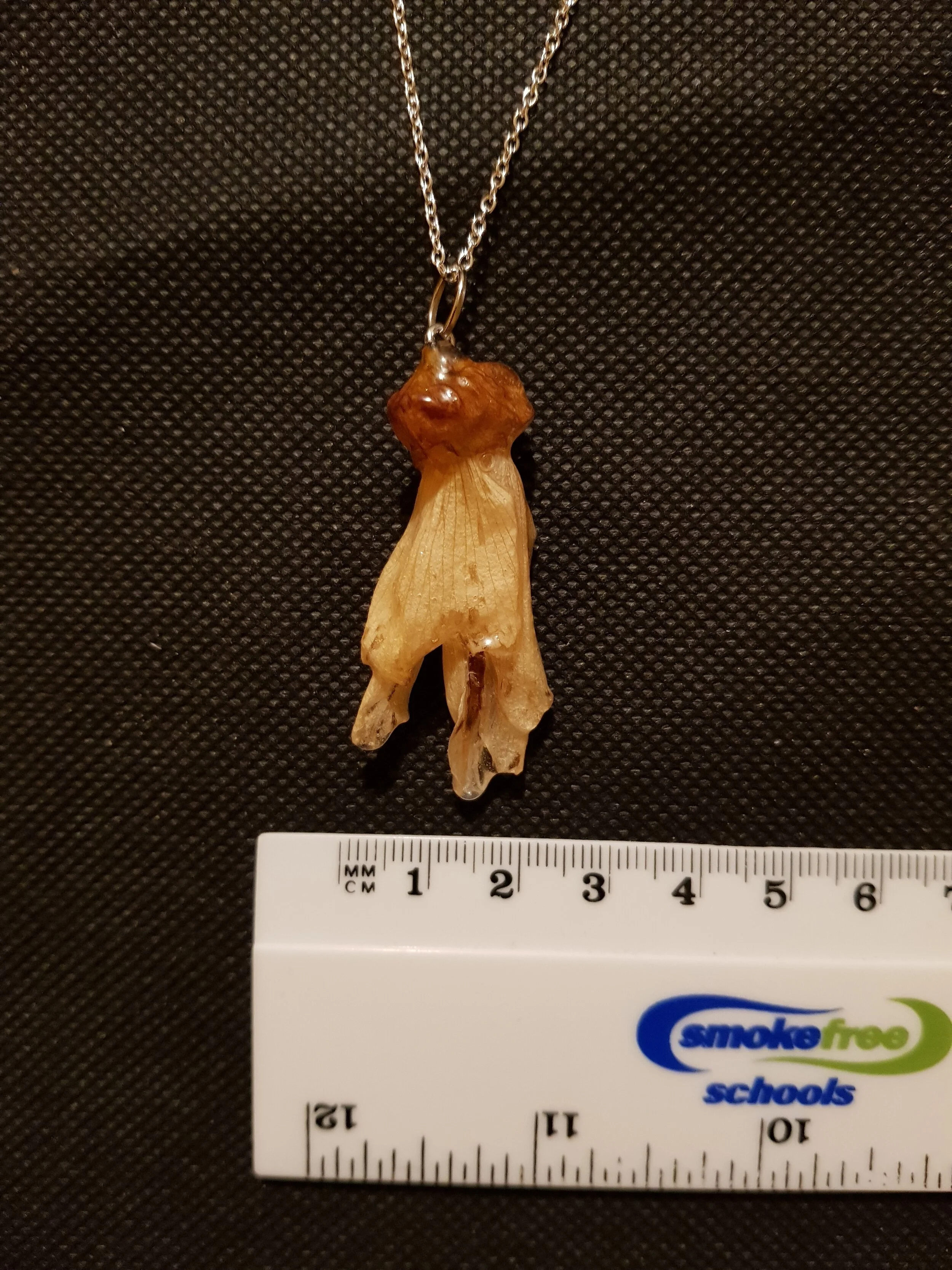 20201124_212338 (1).jpg