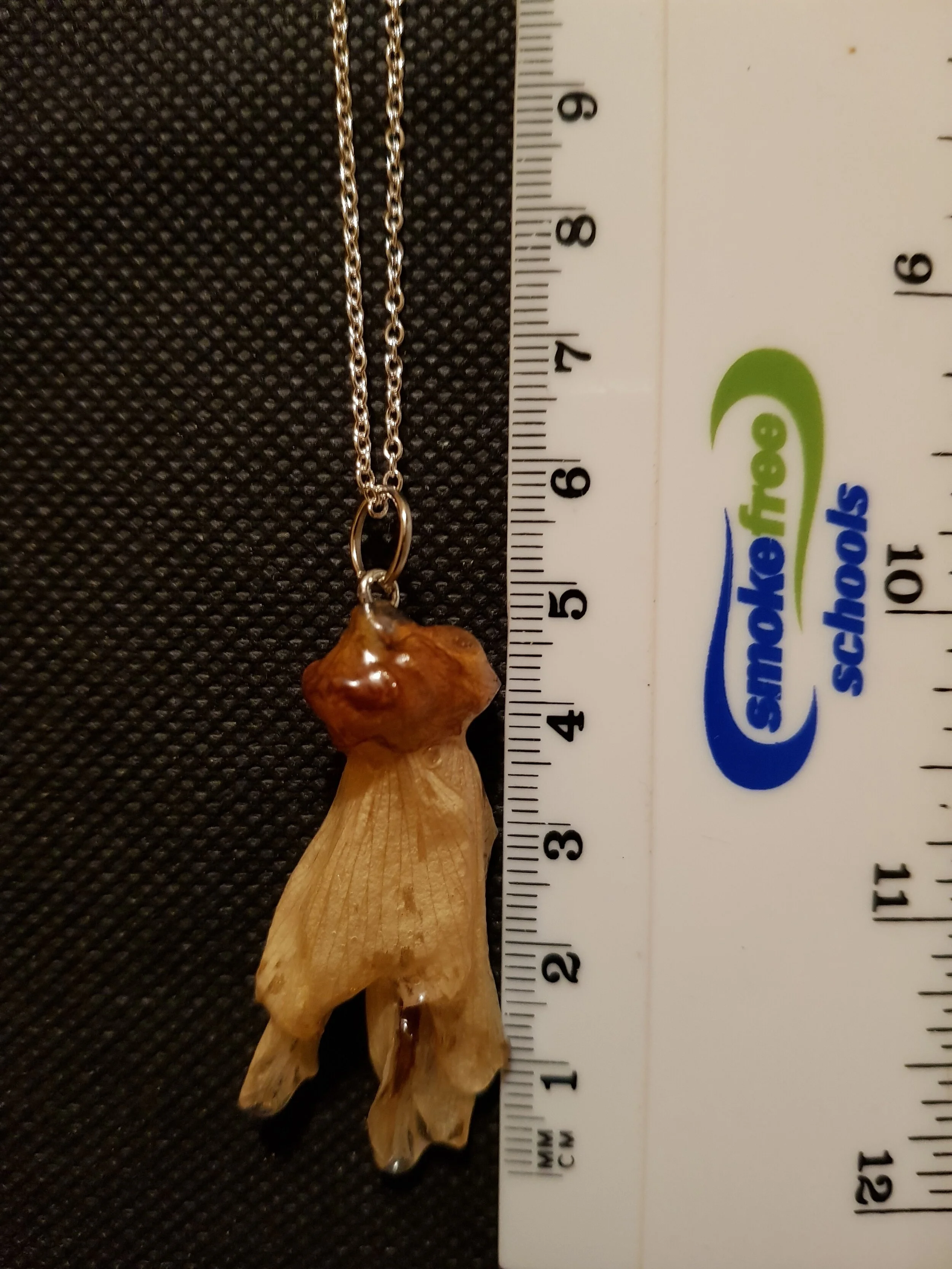 20201124_212421 (1).jpg