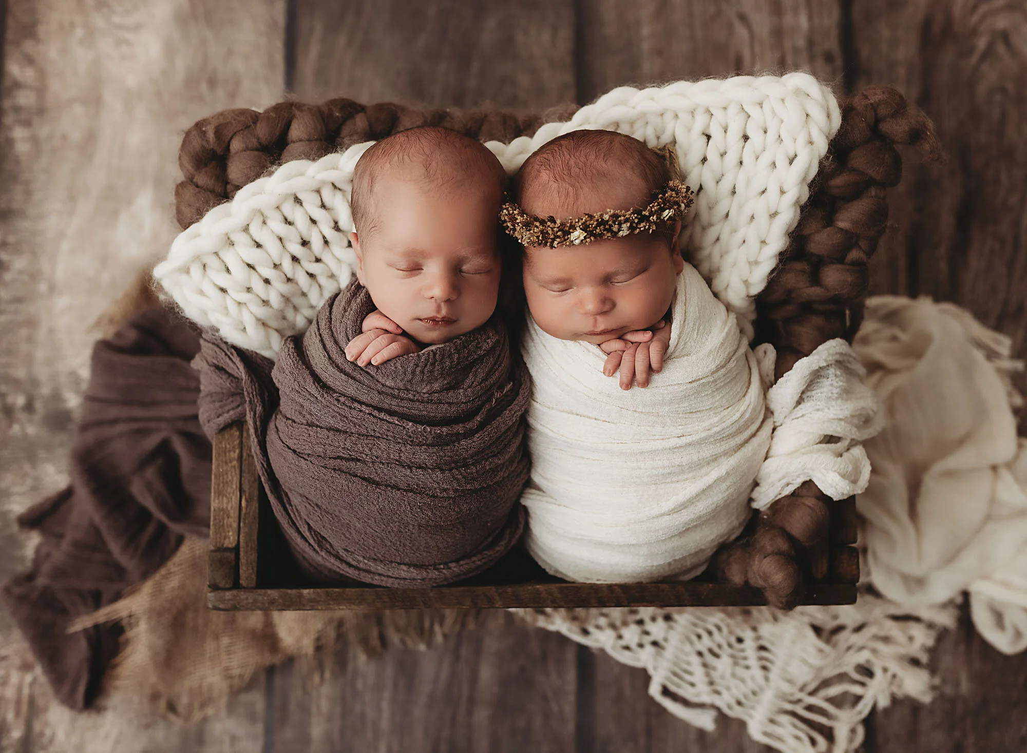 best twin newborn photographer daniela dagostino milton halton toronto crate
