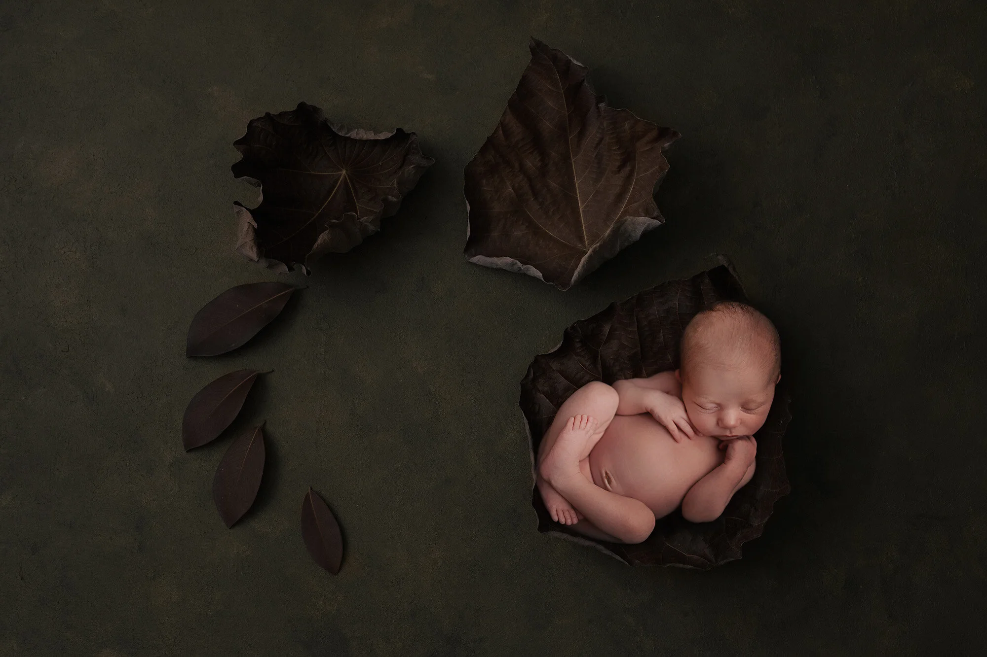 best newborn photographer Milton & Toronto