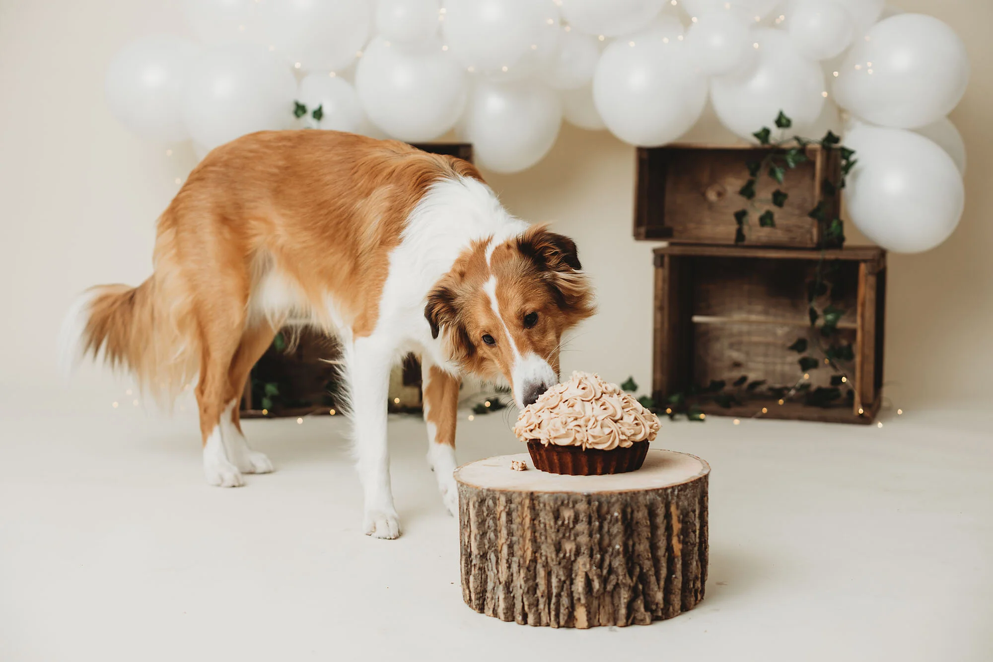 best cake smash photographer Toronto & Milton