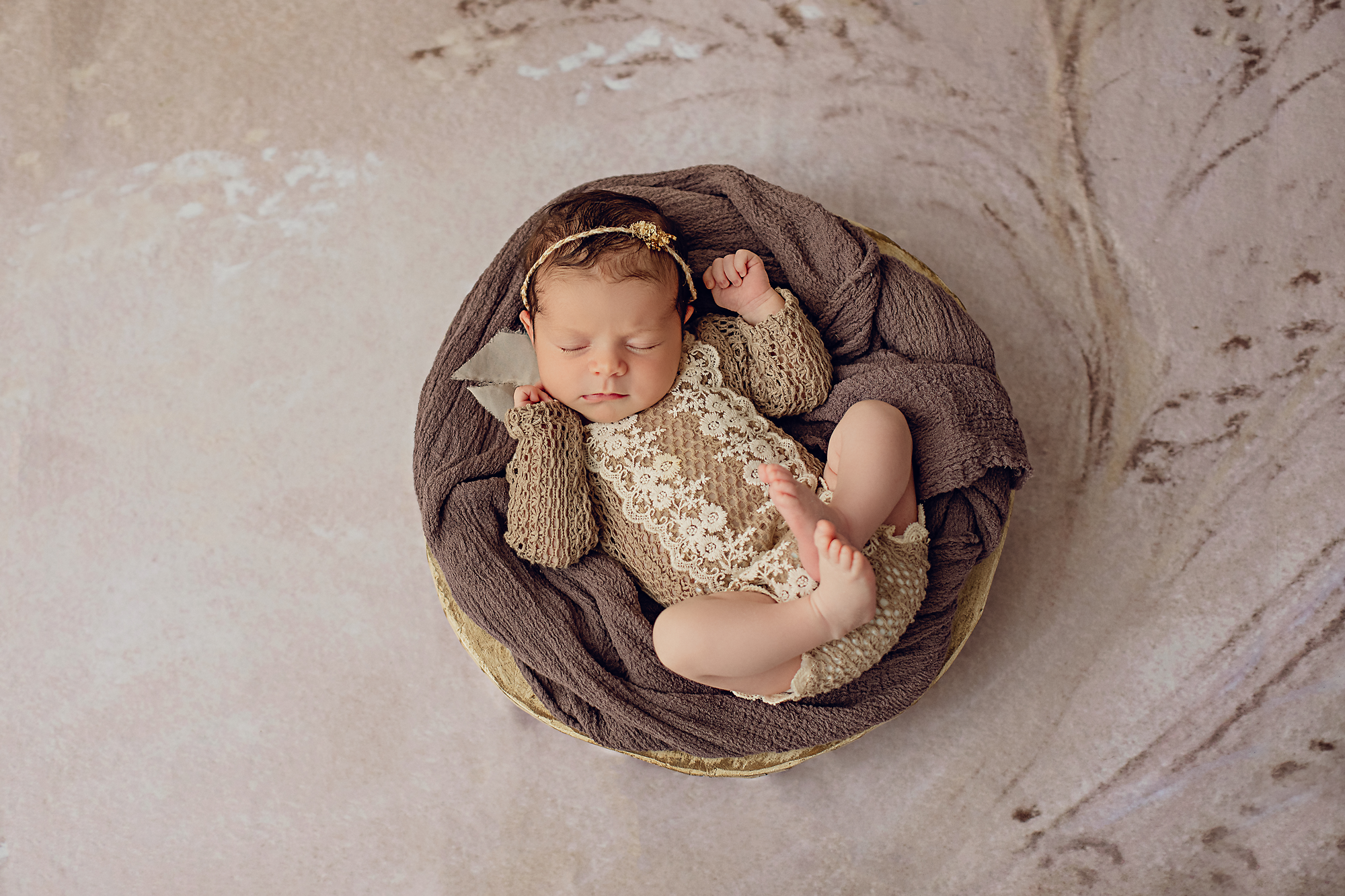 best newborn photographer daniela dagostino milton halton toronto