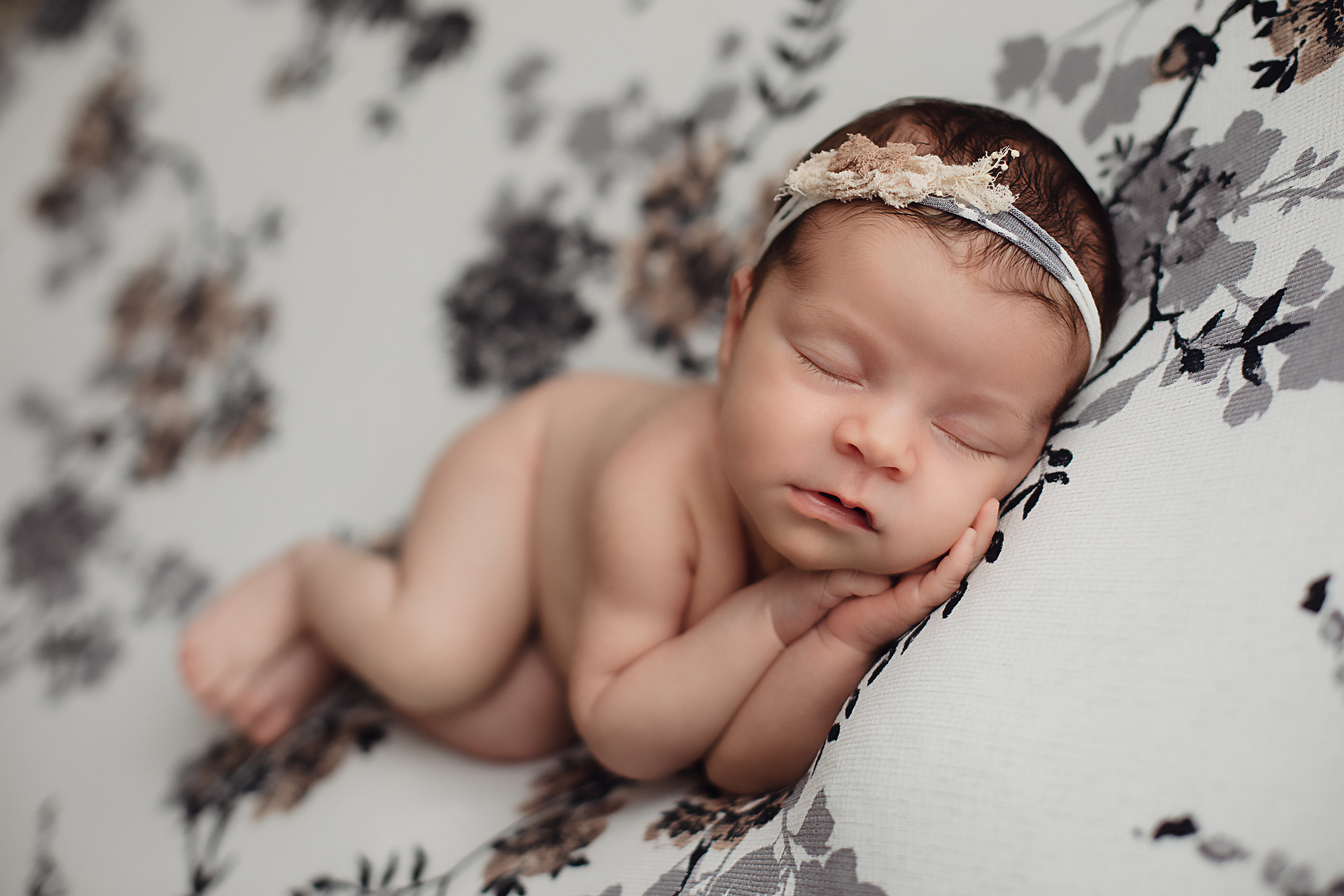 best newborn photographer daniela dagostino milton halton toronto