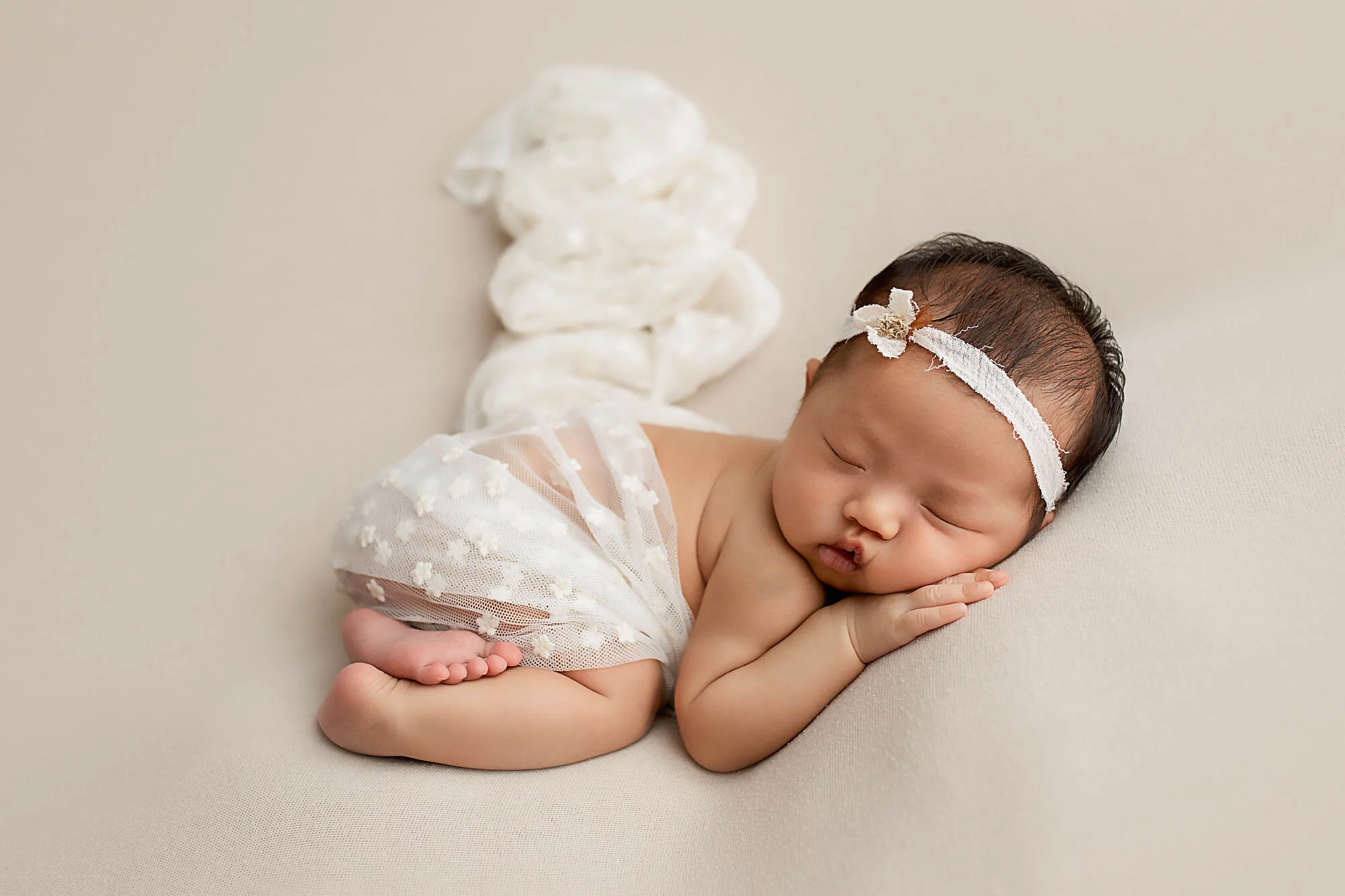 best newborn photographer daniela dagostino milton halton toronto