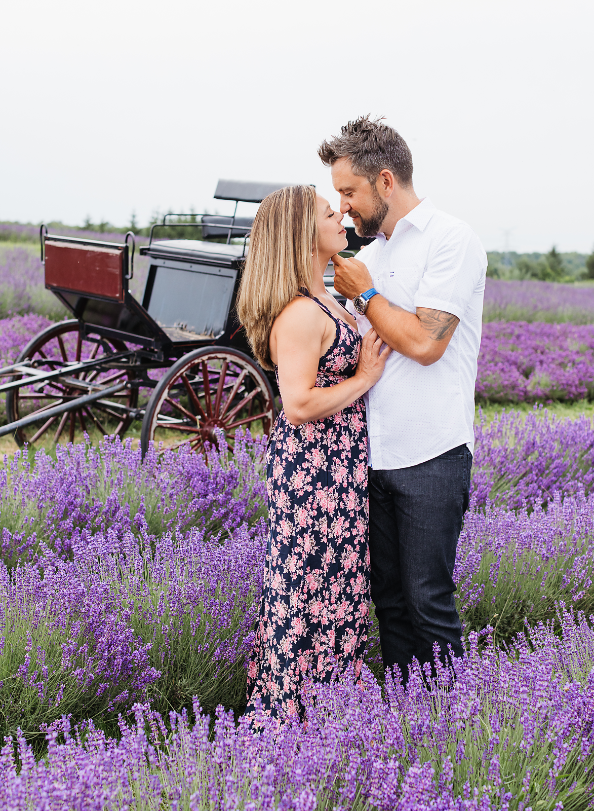 couple in a lavender field