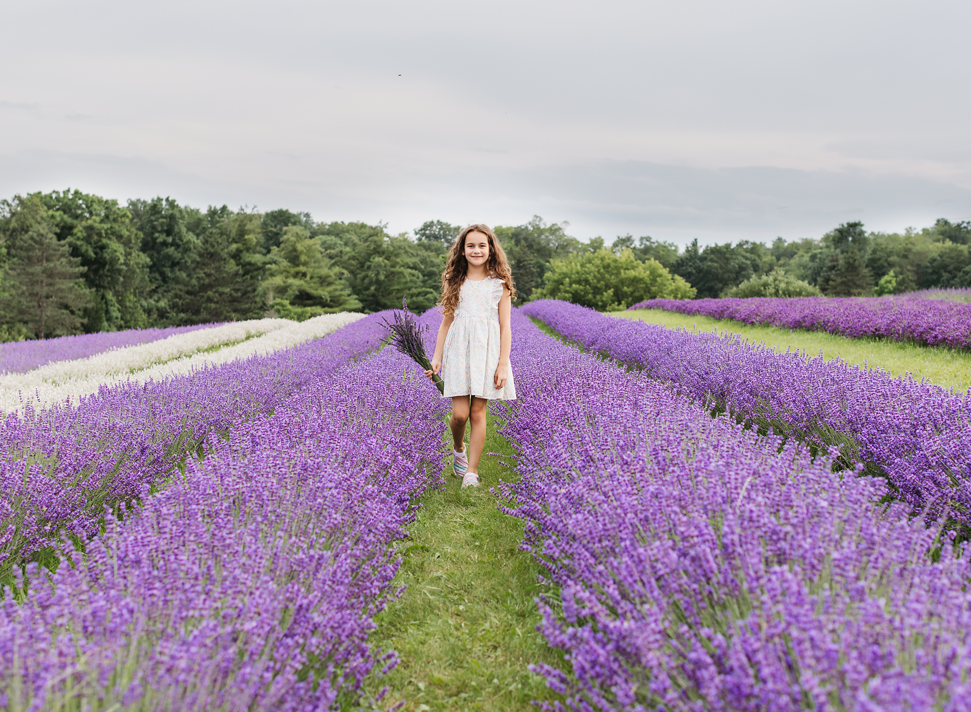 little girl in a lavender