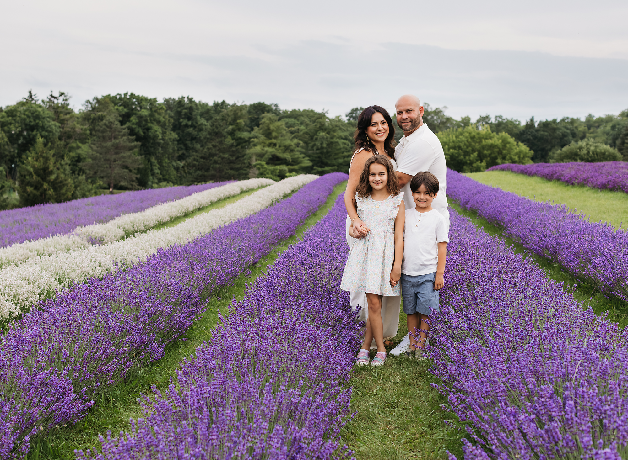 family in a lavender field