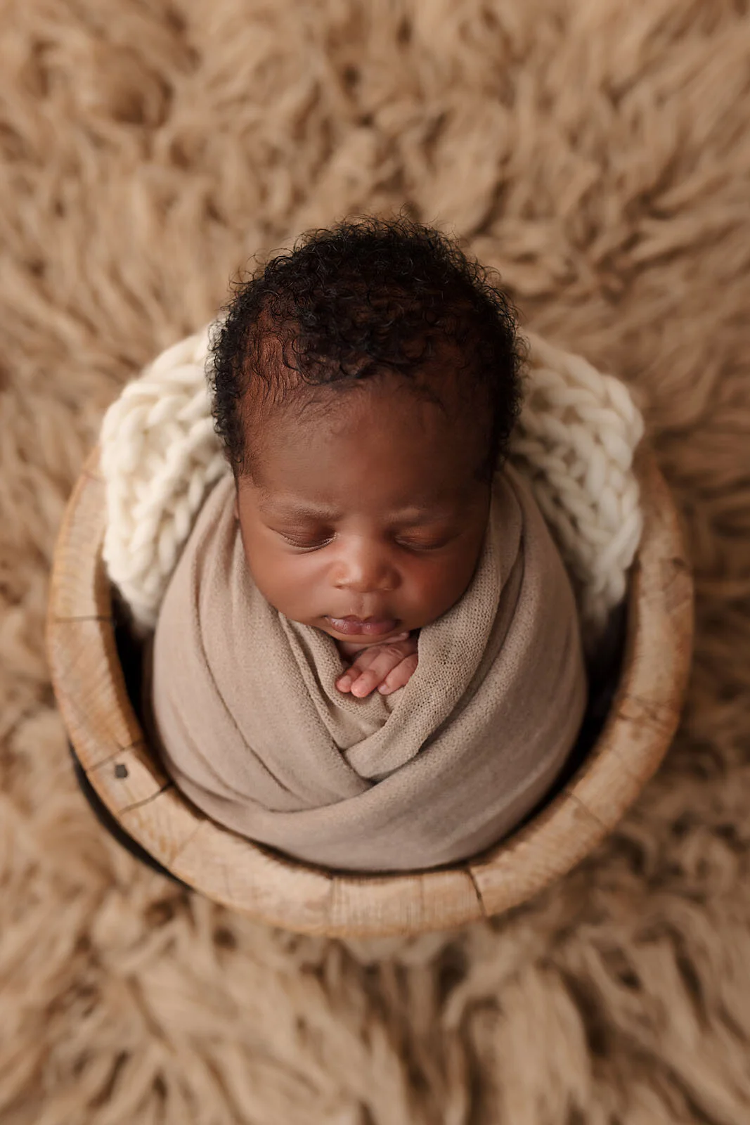 best newborn photographer daniela dagostino milton halton toronto