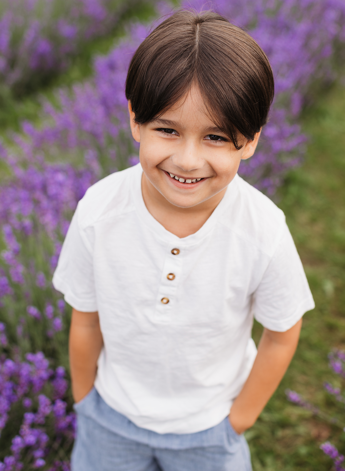 little boy in a lavender field