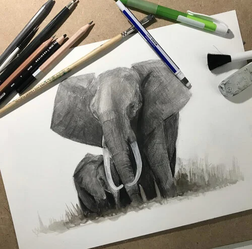 Elephants.jpg