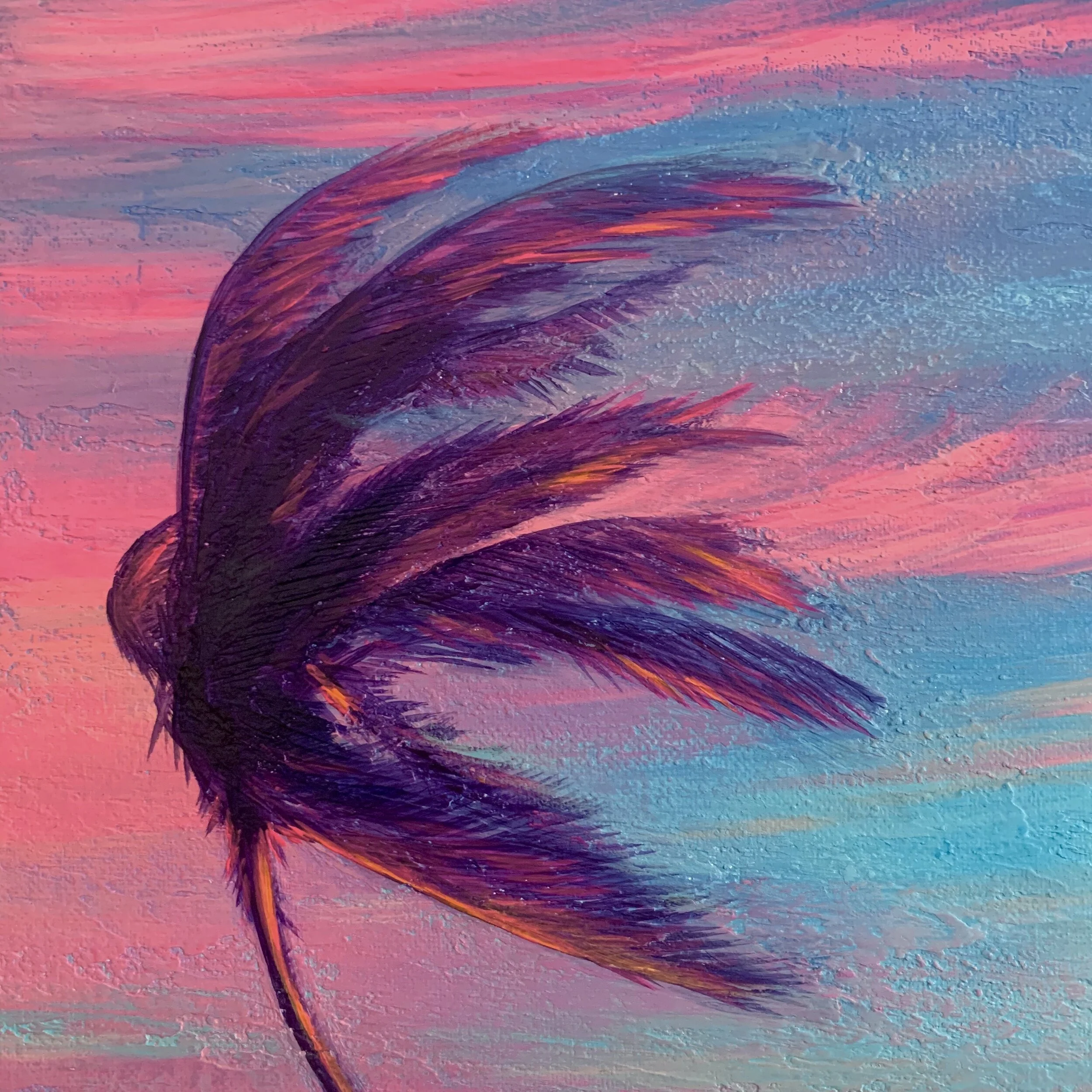 TropicalCirrus3.jpg