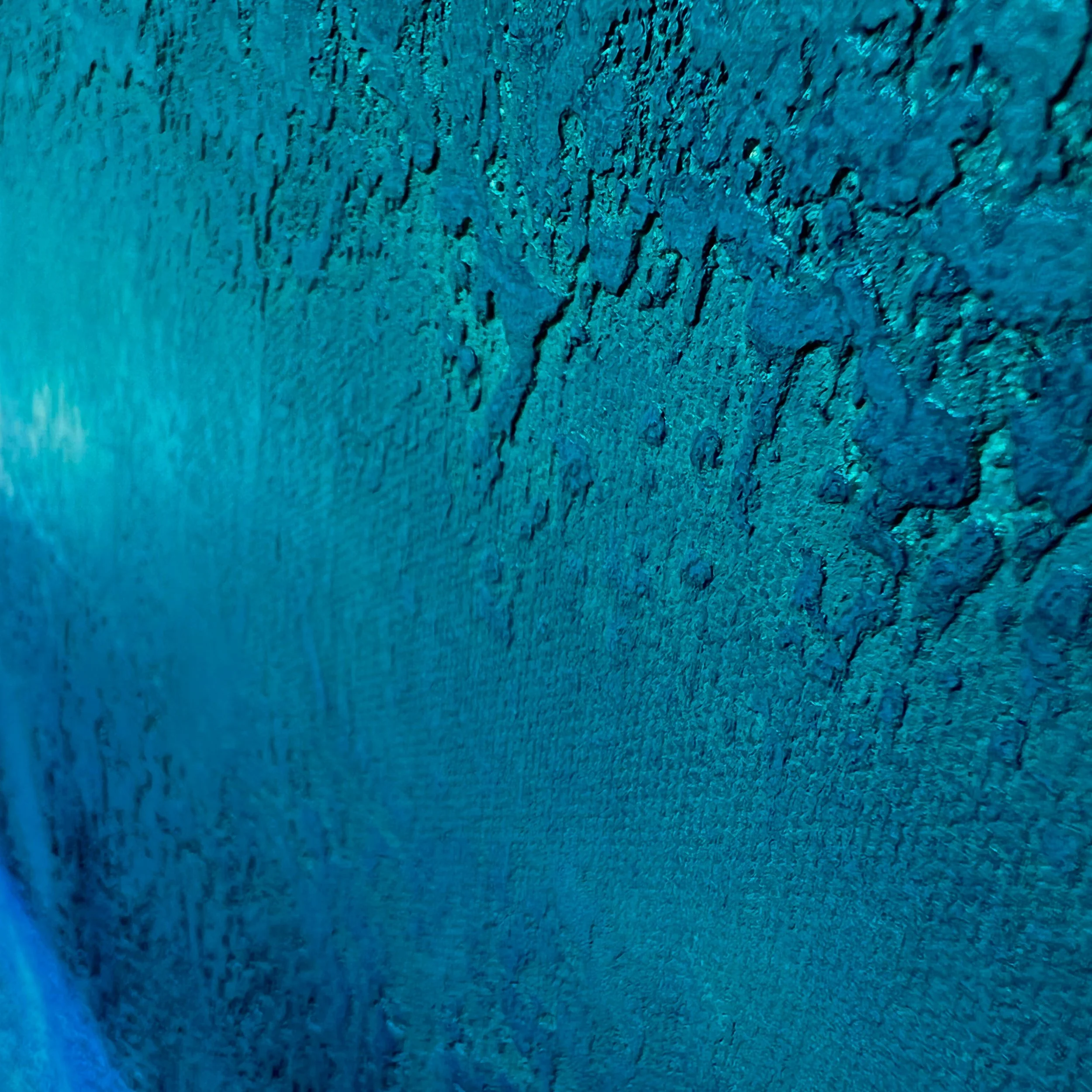 "Pacific": photo taken in natural daylight during the morning, two meters away from a skylight in partly cloudy conditions.