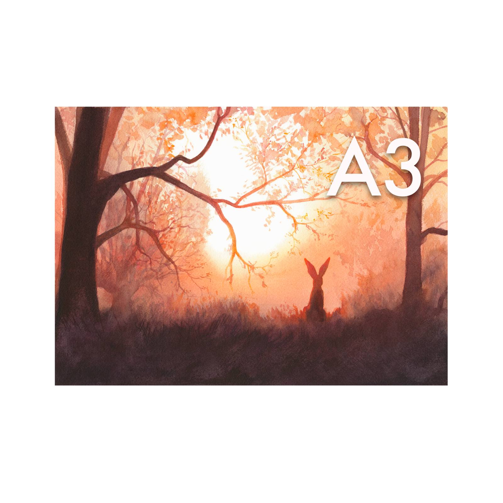 Dawning Harmony-A3SQA3.png