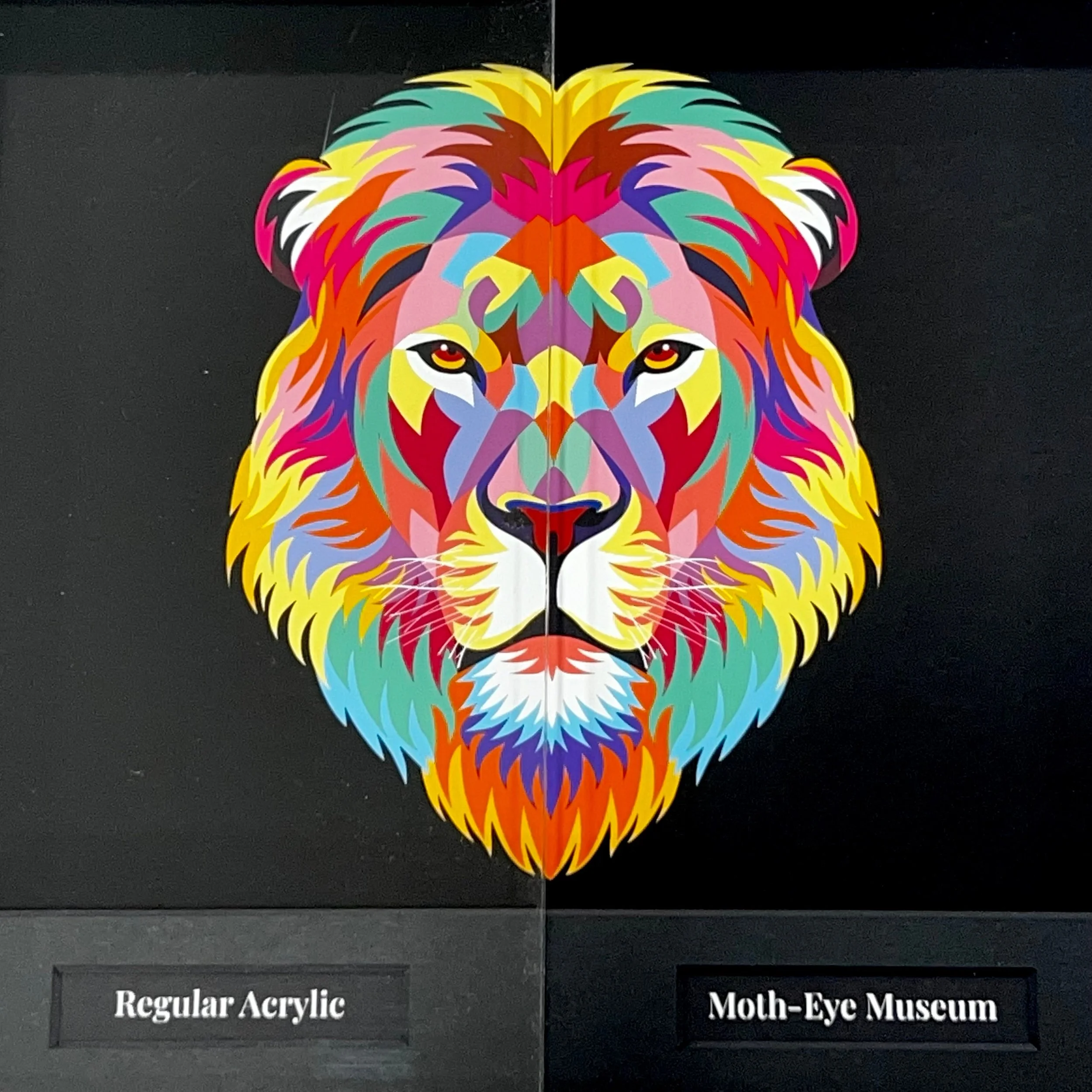 MothEye1.jpg