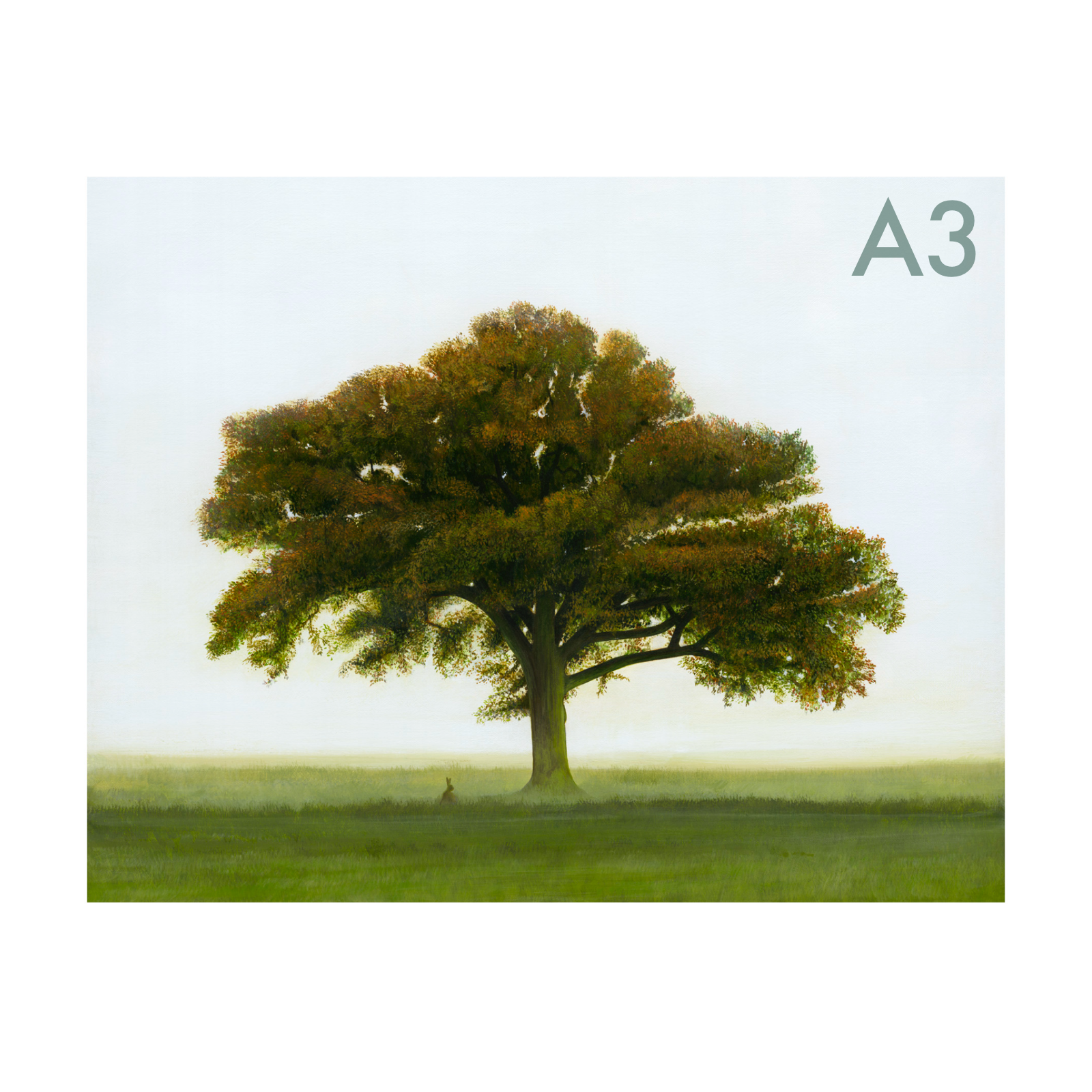 NA003PG40SQ1A3label.png