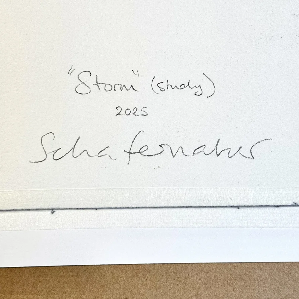 Storm — SCHAFERNAKER ART