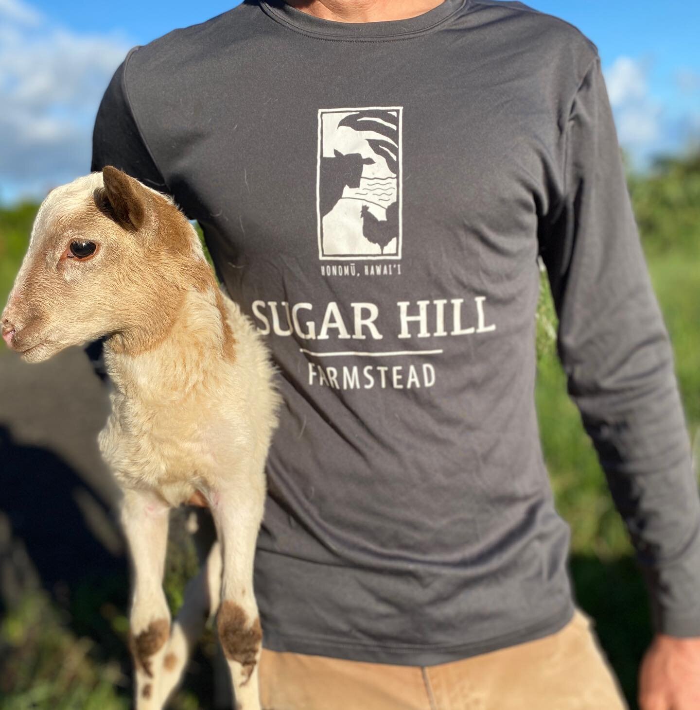 New product alert!

Lightweight performance long sleeve t-shirts have dropped on the farm shop for #cybermonday

Lamb not included 🤣

#regenerativeagriculture #hawaii #farmlife #giftideas #shopsmallbusiness #hilo #honomu #supportlocalfarmers #lambch