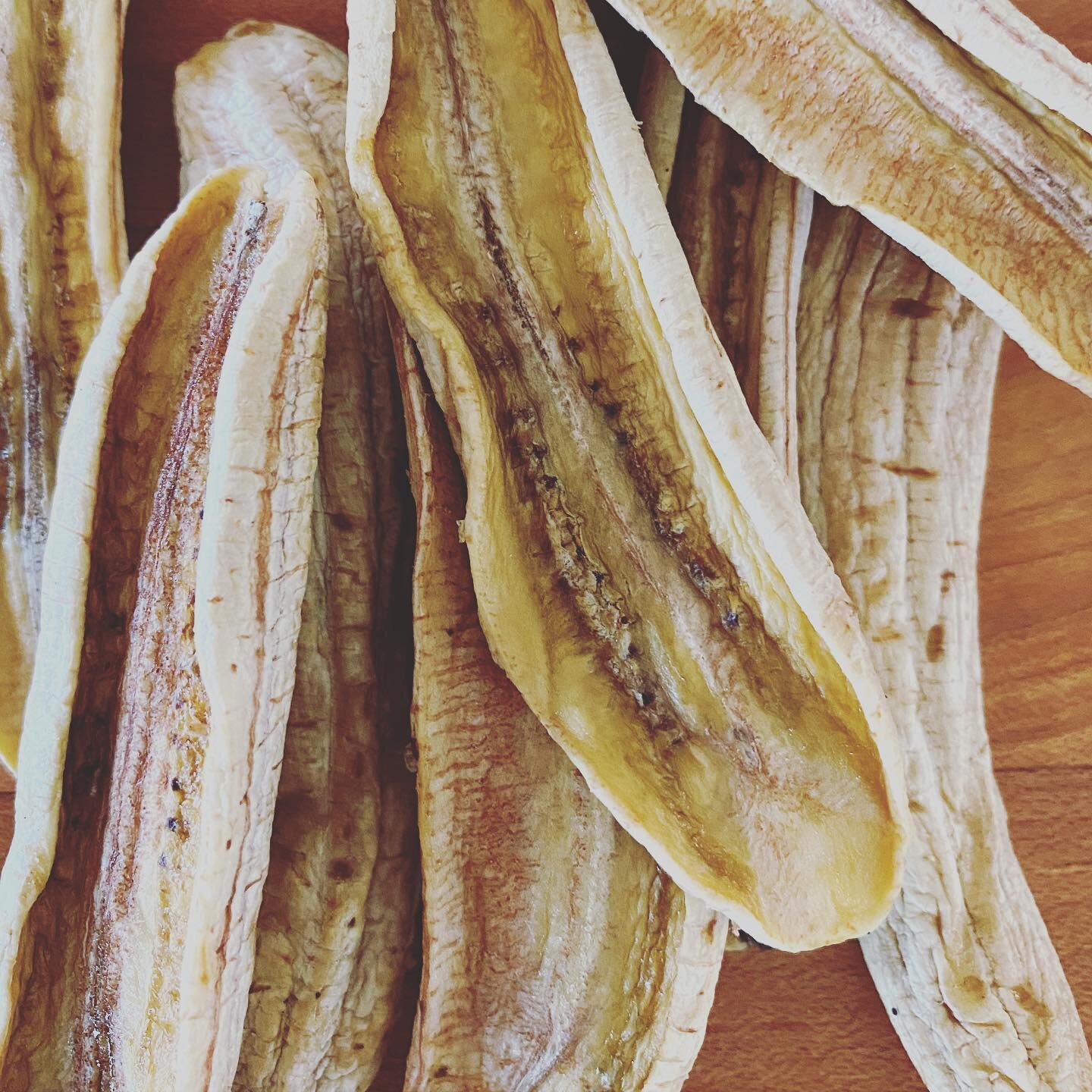 We just took a batch of dried apple bananas out of the dehydrator and WOW the house smells good!

Our dehydrated apple bananas are naturally sweet because we use only the best bananas from our farm.

So many others use overly ripe bananas but those g