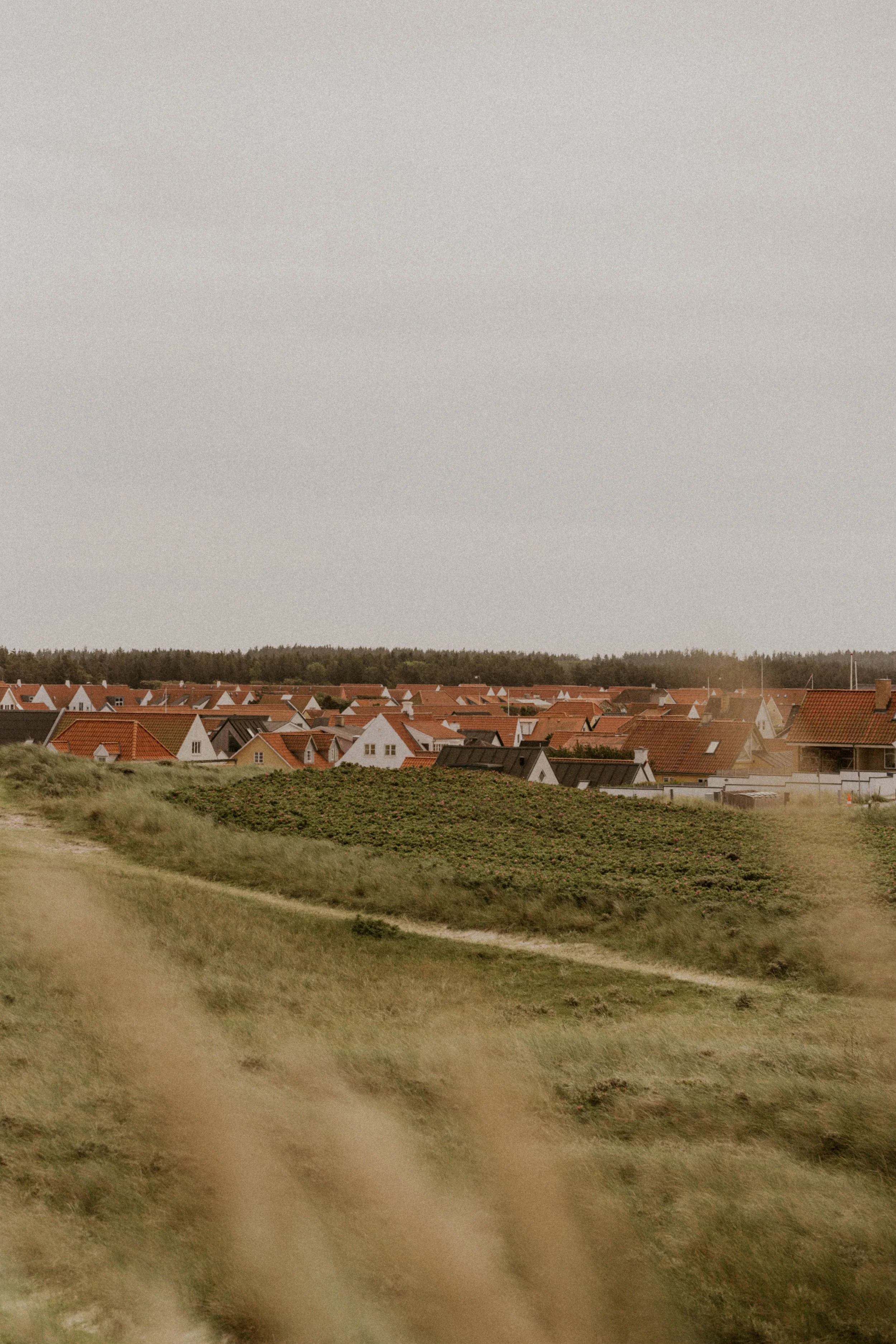 Intimate Weddings in Denmark: How to Create an Emotional, Effortless Day
