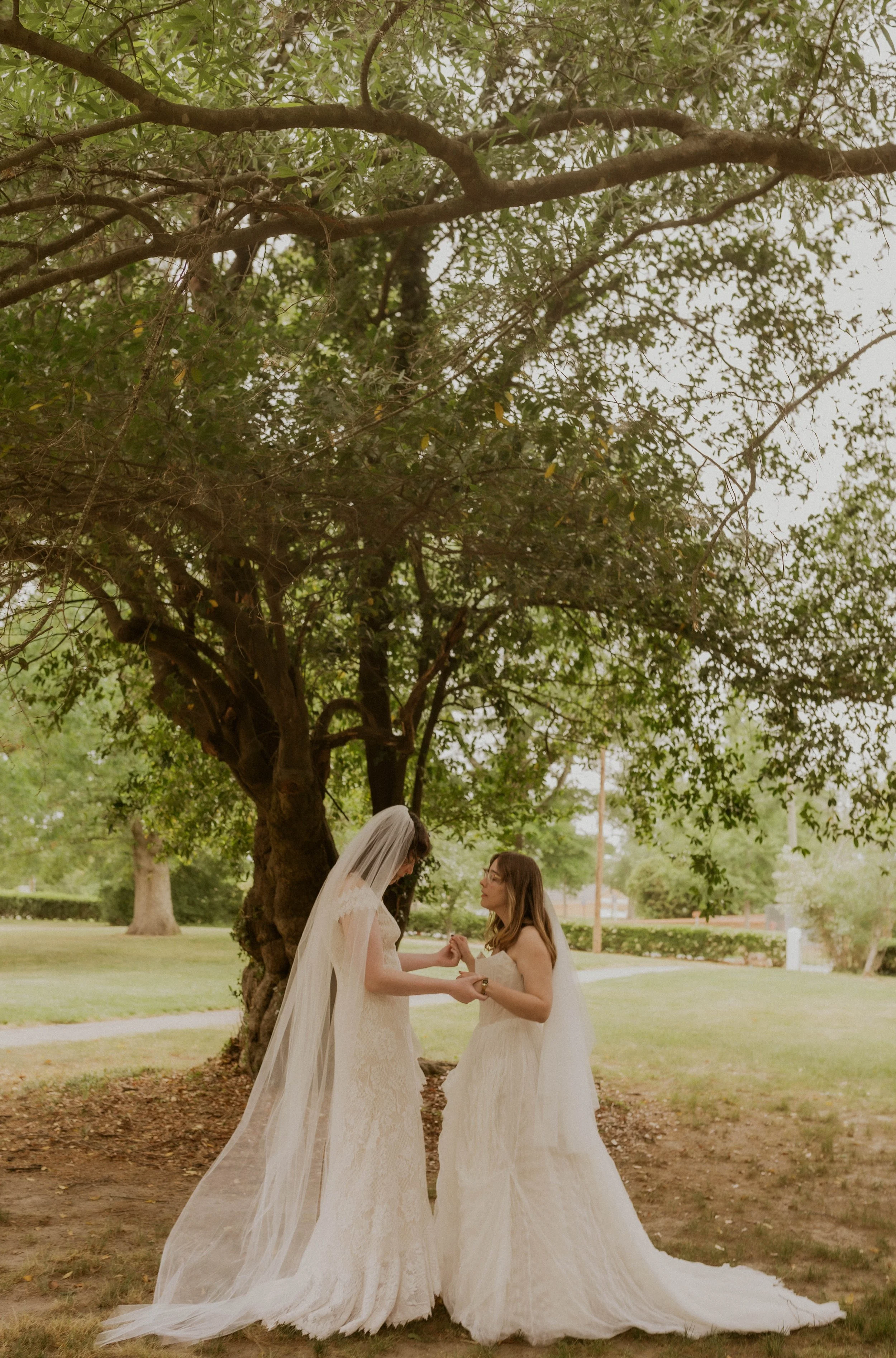Frances+Brynn92.jpg