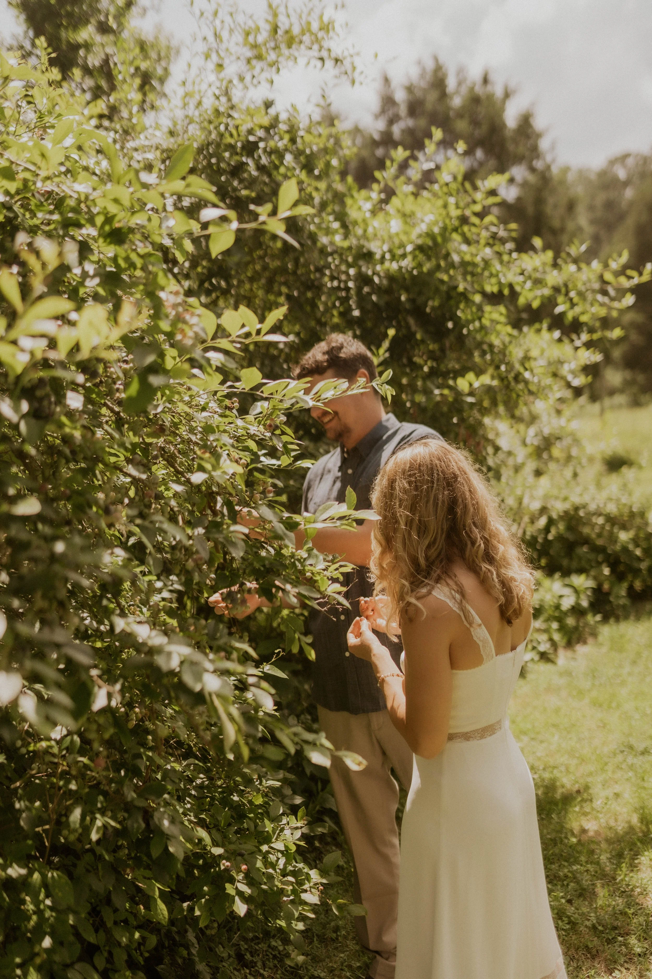 Couple wandering a family hobby farm before their elopement, picking berries and sharing quiet moments