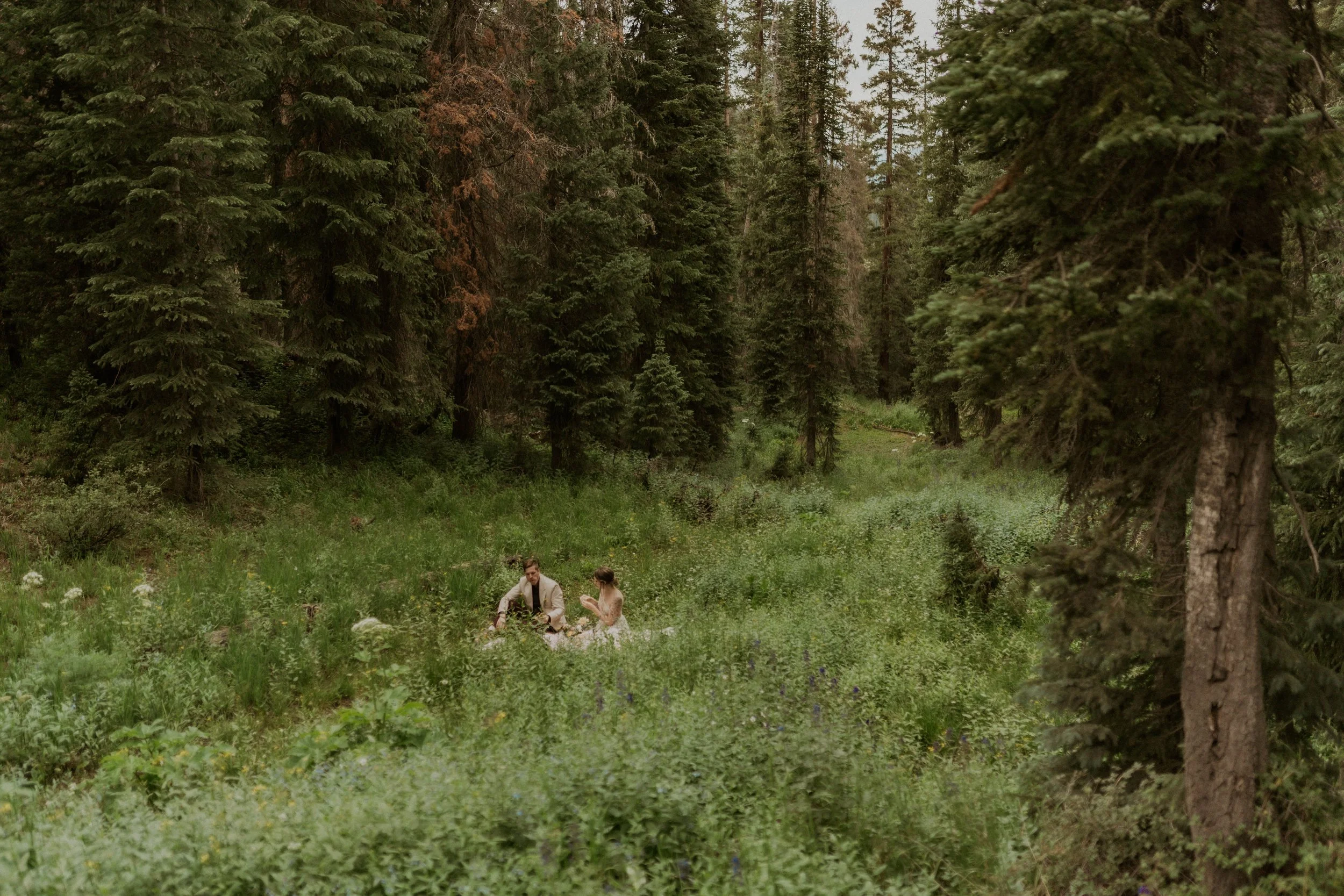 Wildflower field surrounded by mountains near Crested Butte, Colorado