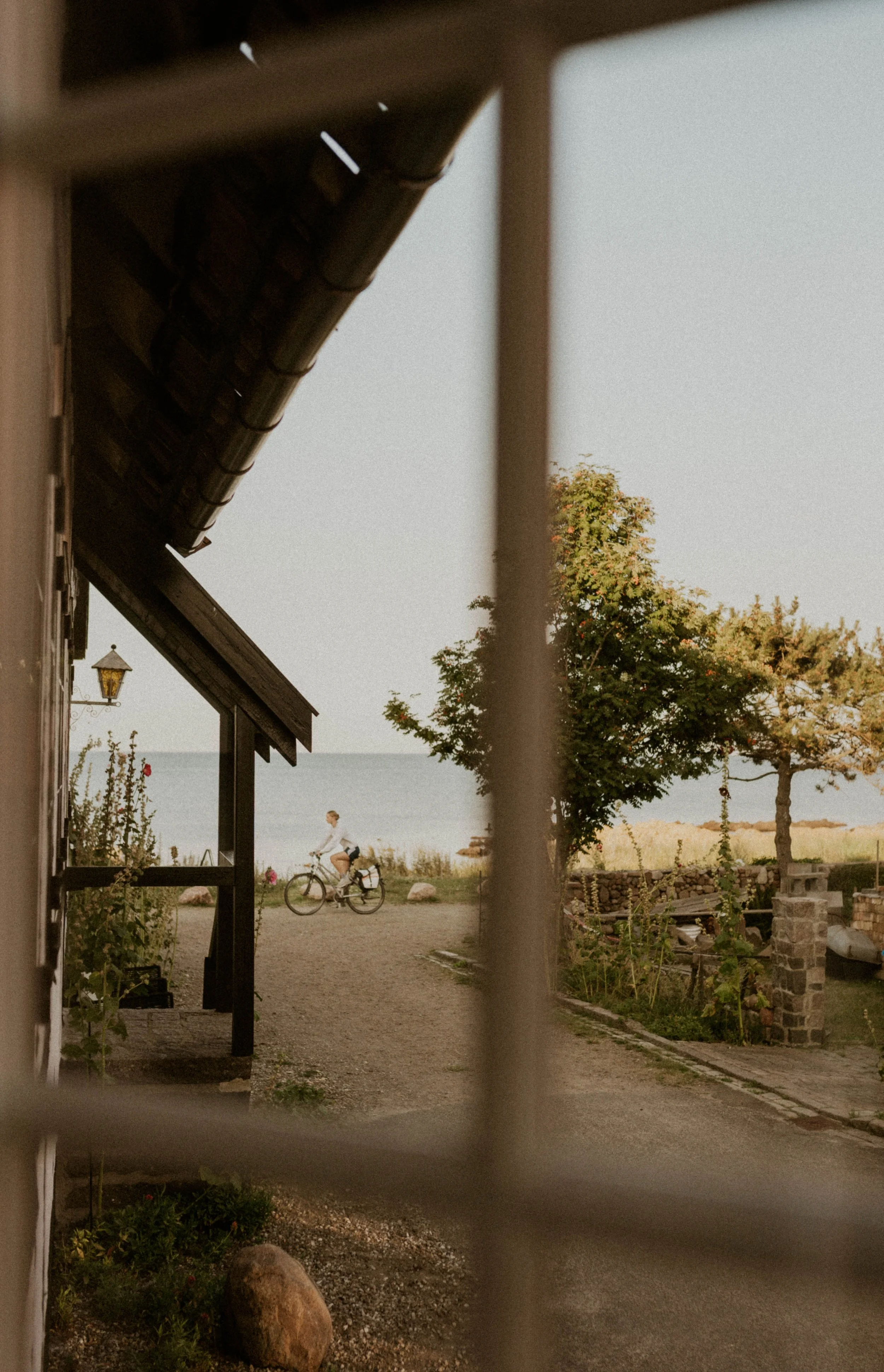 bride riding a bike on windswept beach during intimate west coat Denmark Wedding